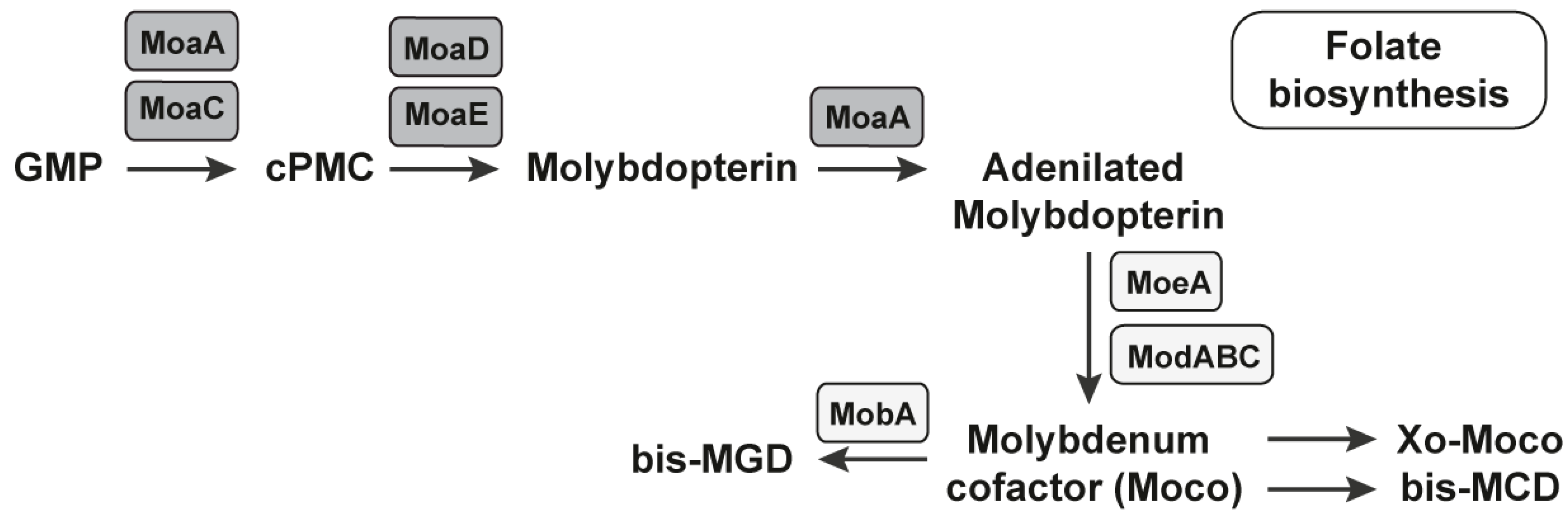 Antibiotics 11 01177 g003 Antibiotics 11 01177 g003