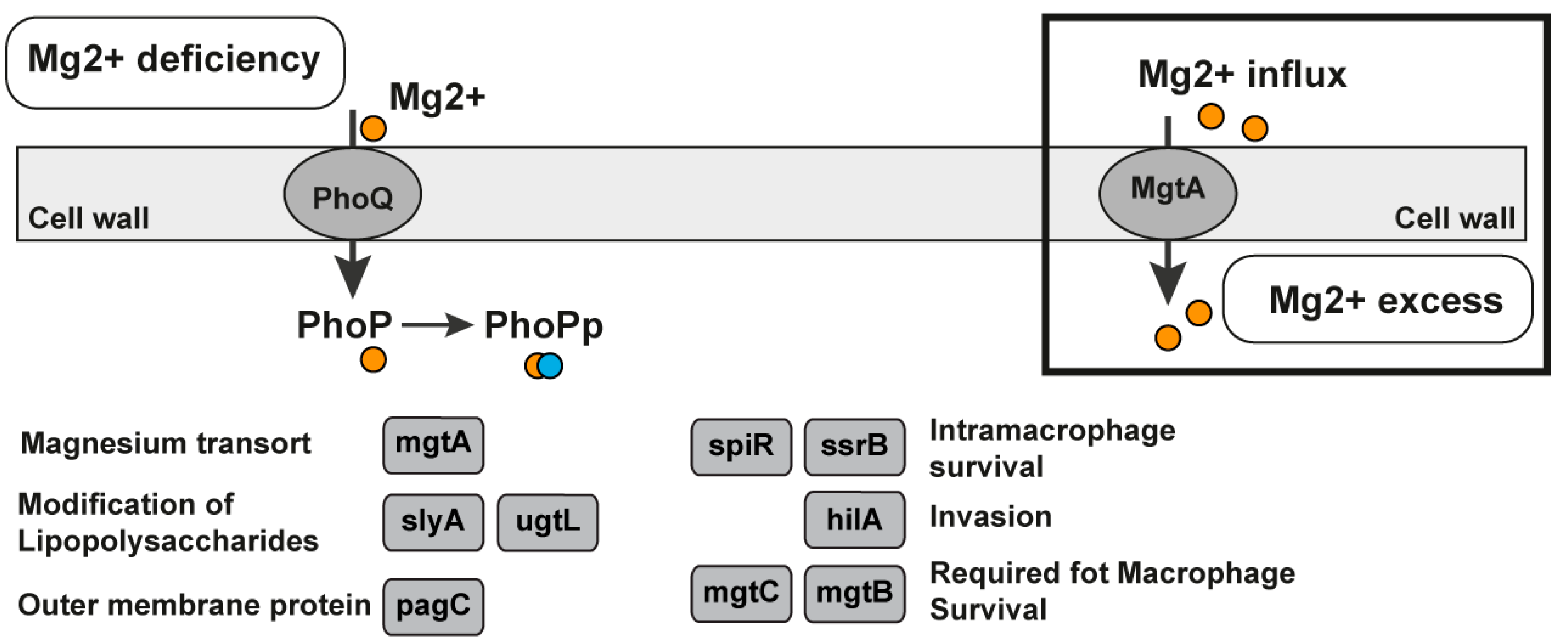 Antibiotics 11 01177 g005 Antibiotics 11 01177 g005