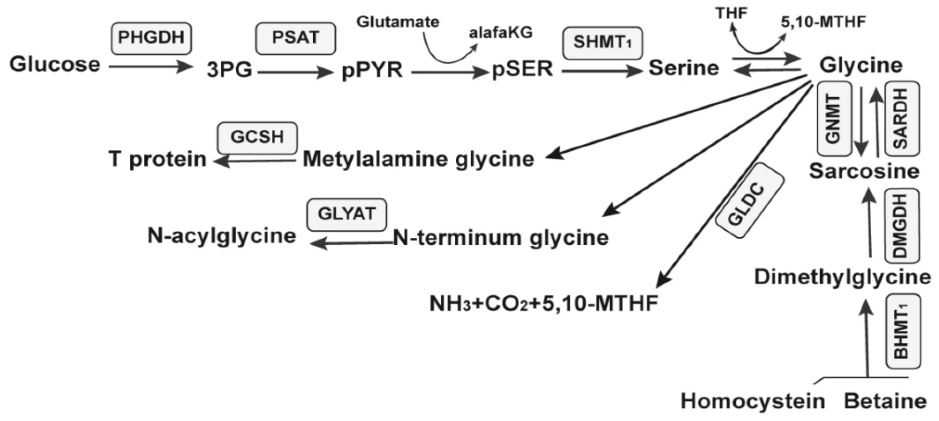 Antibiotics 11 01177 g006 Antibiotics 11 01177 g006