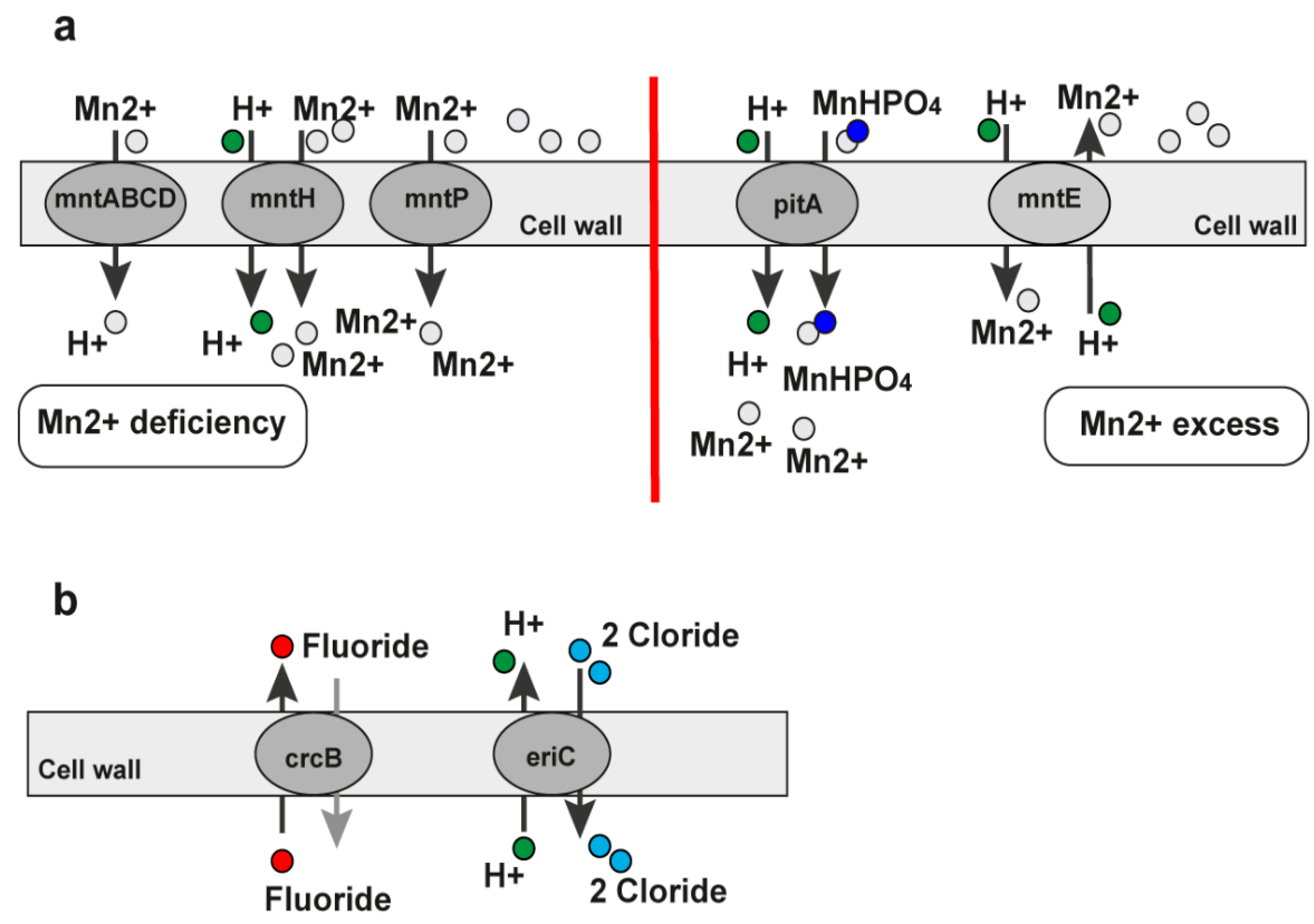 Antibiotics 11 01177 g007 Antibiotics 11 01177 g007