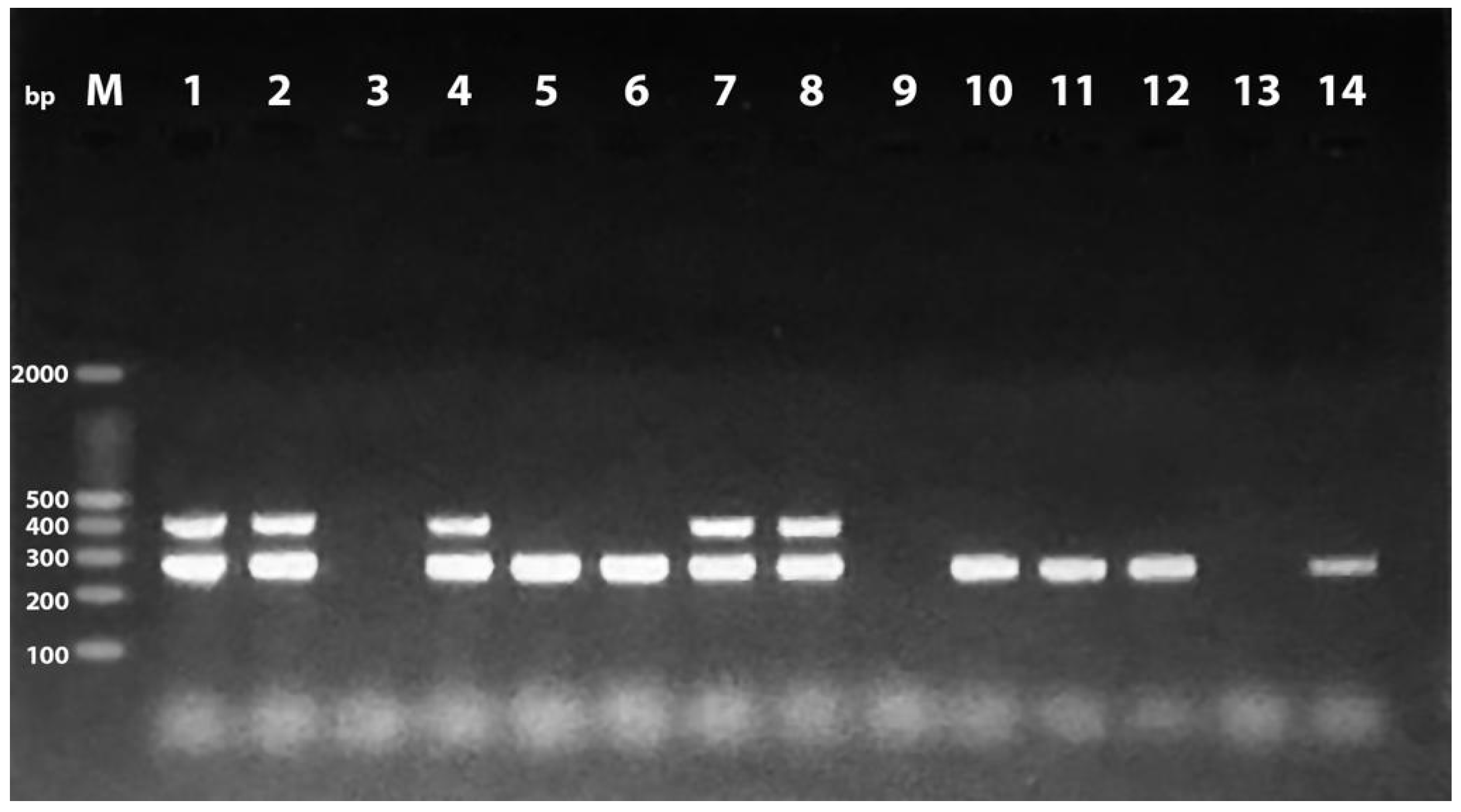 Antibiotics 11 01197 g001