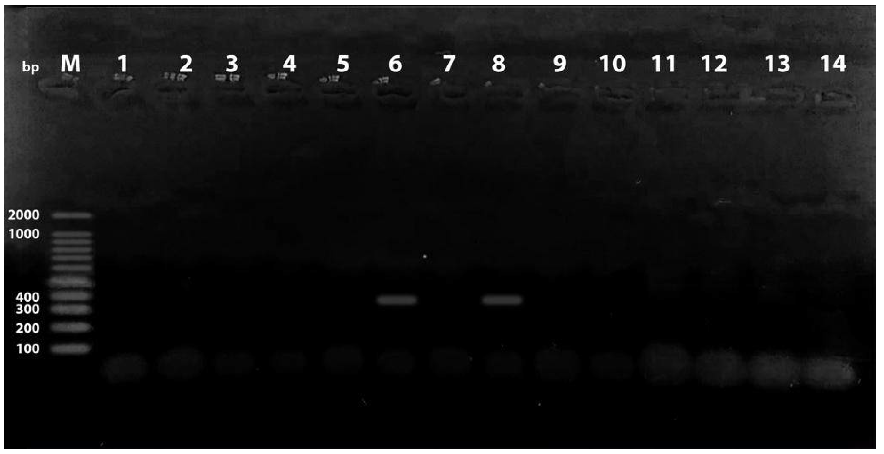 Antibiotics 11 01197 g002