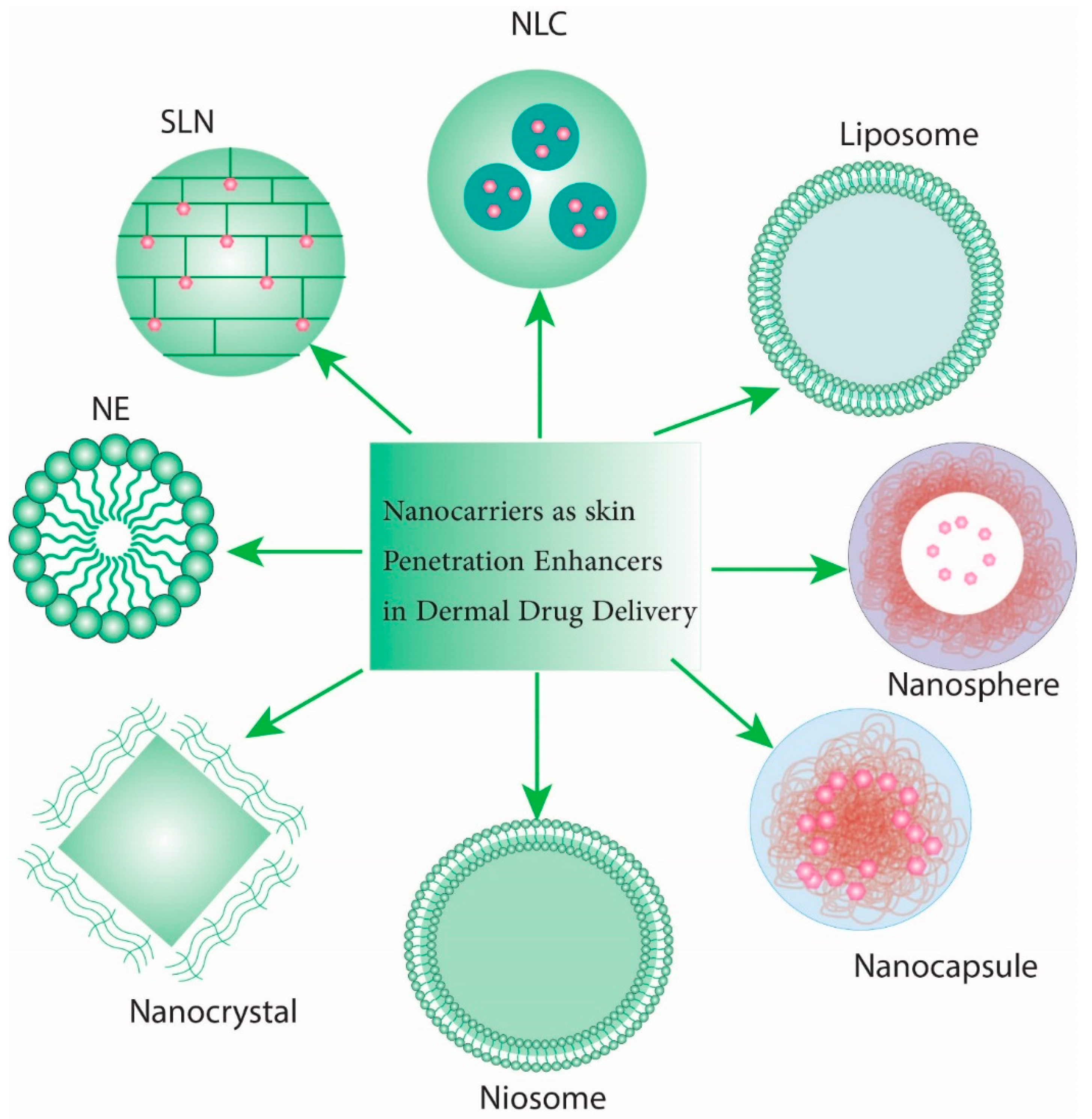 Antibiotics 11 01208 g003