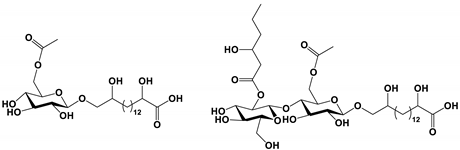 Antibiotics 11 01238 i010 Antibiotics 11 01238 i010