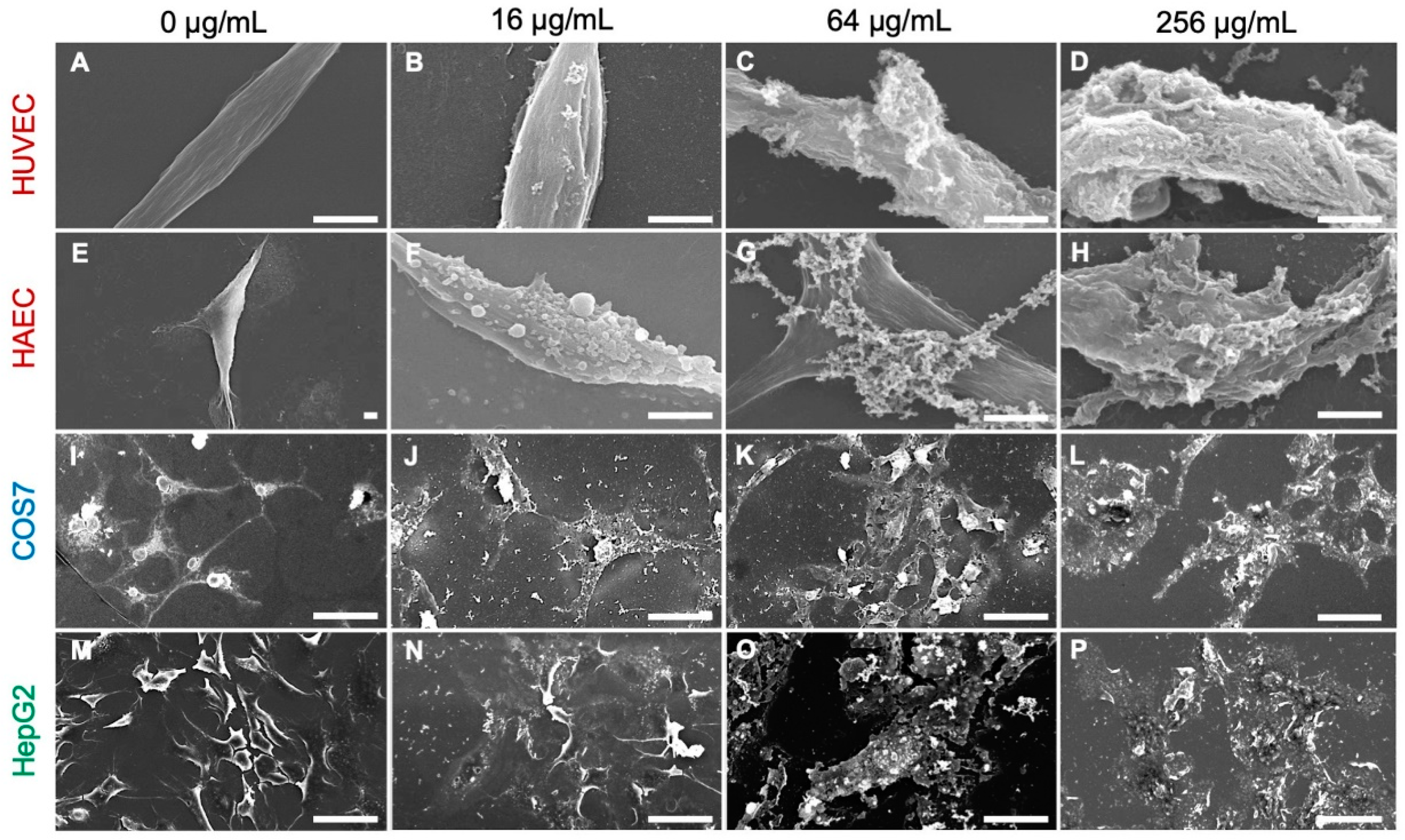 Antibiotics 11 01240 g004