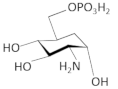 Antibiotics 11 01243 i009 Antibiotics 11 01243 i009
