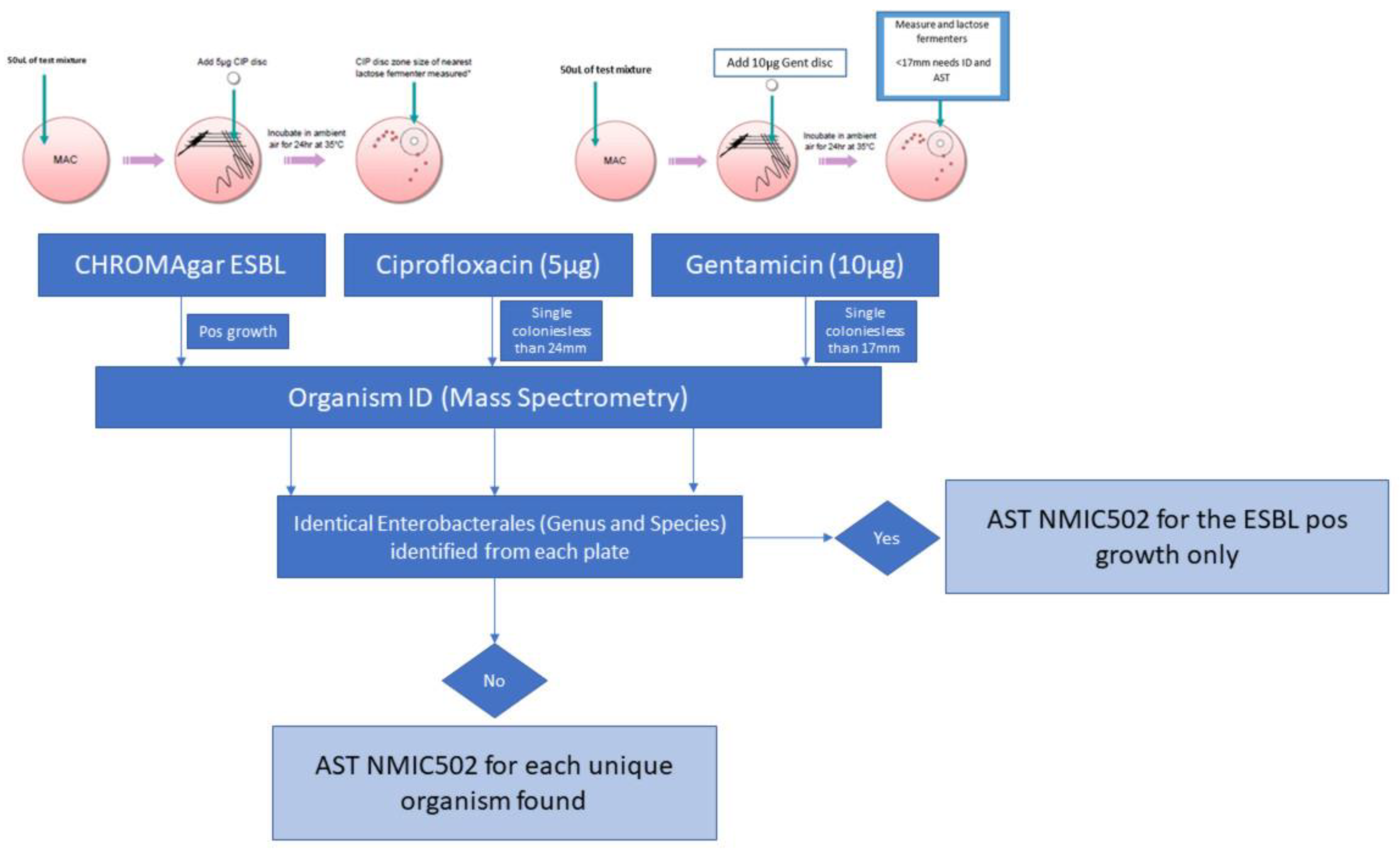 Antibiotics 11 01262 g002 Antibiotics 11 01262 g002