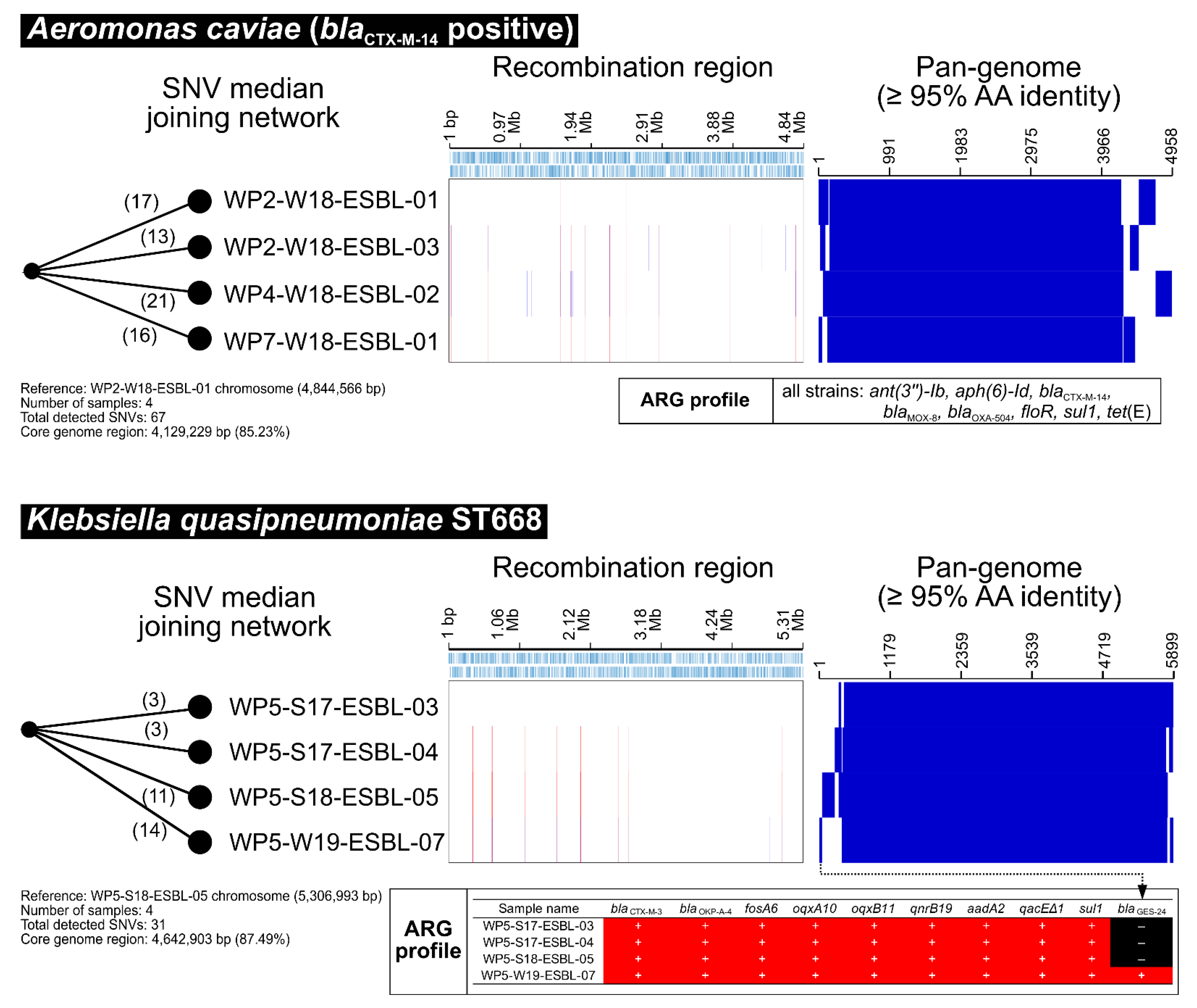 Antibiotics 11 01283 g005