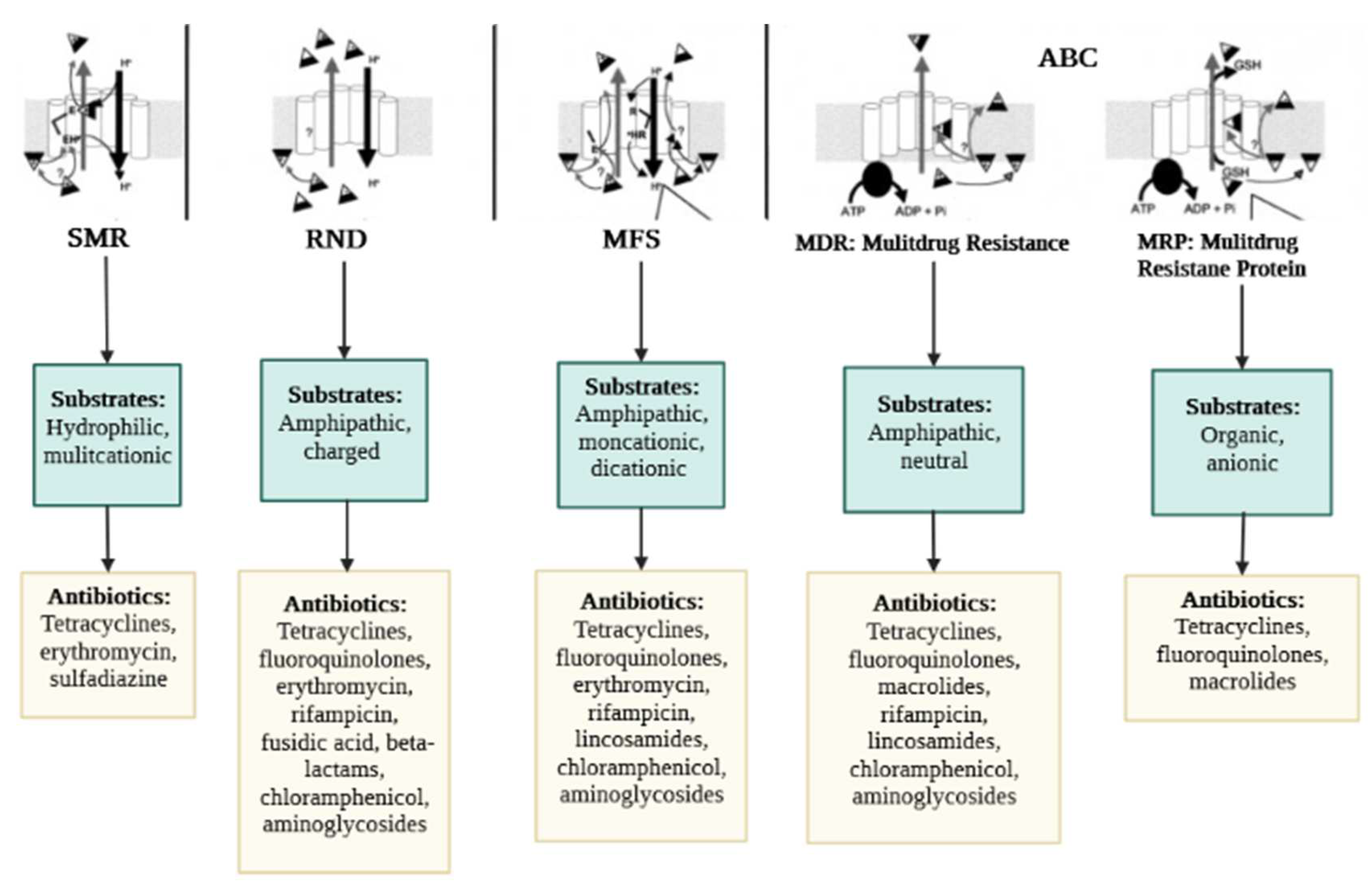Antibiotics 11 01287 g003 Antibiotics 11 01287 g003