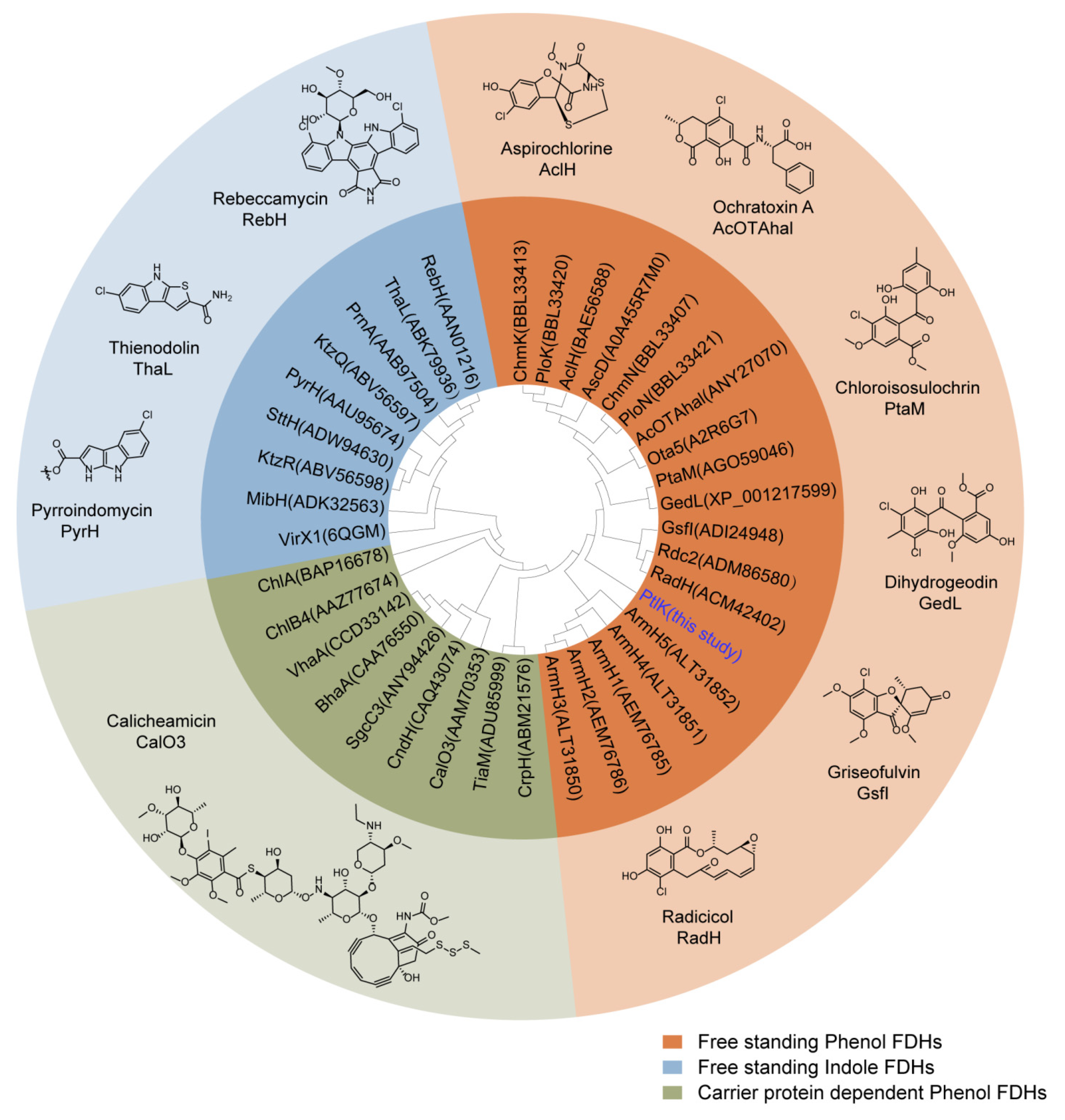 Antibiotics 11 01304 g002 Antibiotics 11 01304 g002