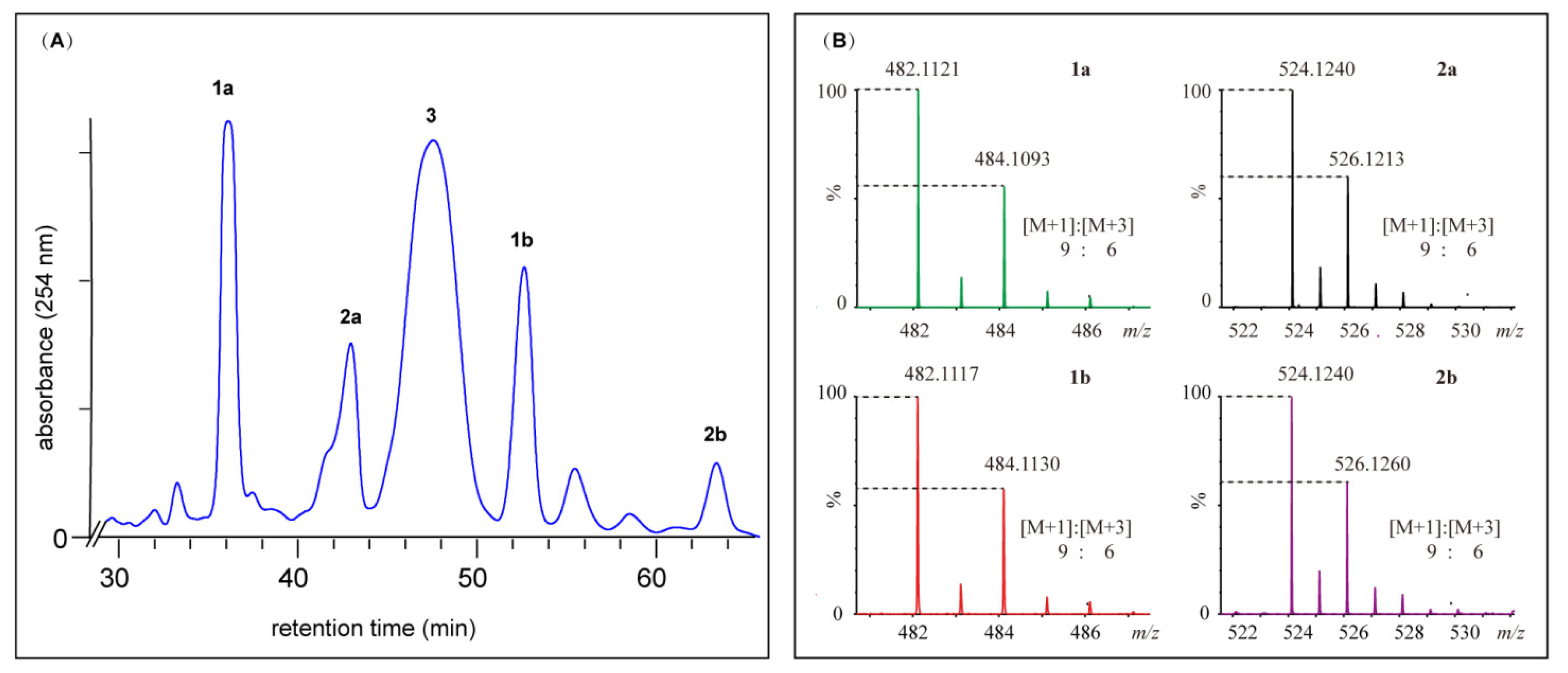 Antibiotics 11 01304 g003 Antibiotics 11 01304 g003