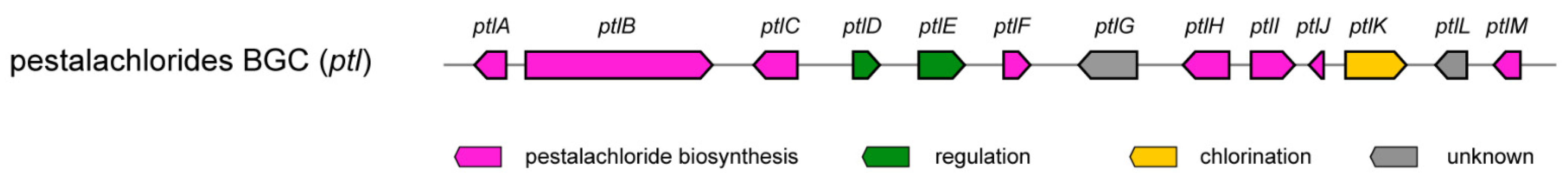 Antibiotics 11 01304 i001 Antibiotics 11 01304 i001