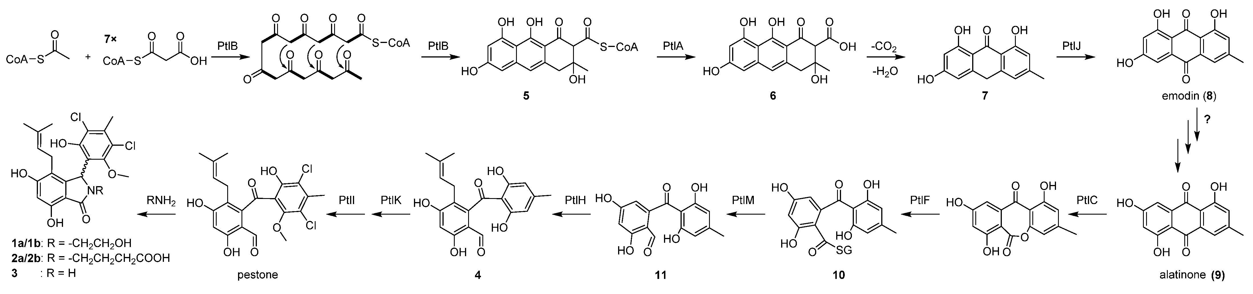 Antibiotics 11 01304 sch001 Antibiotics 11 01304 sch001