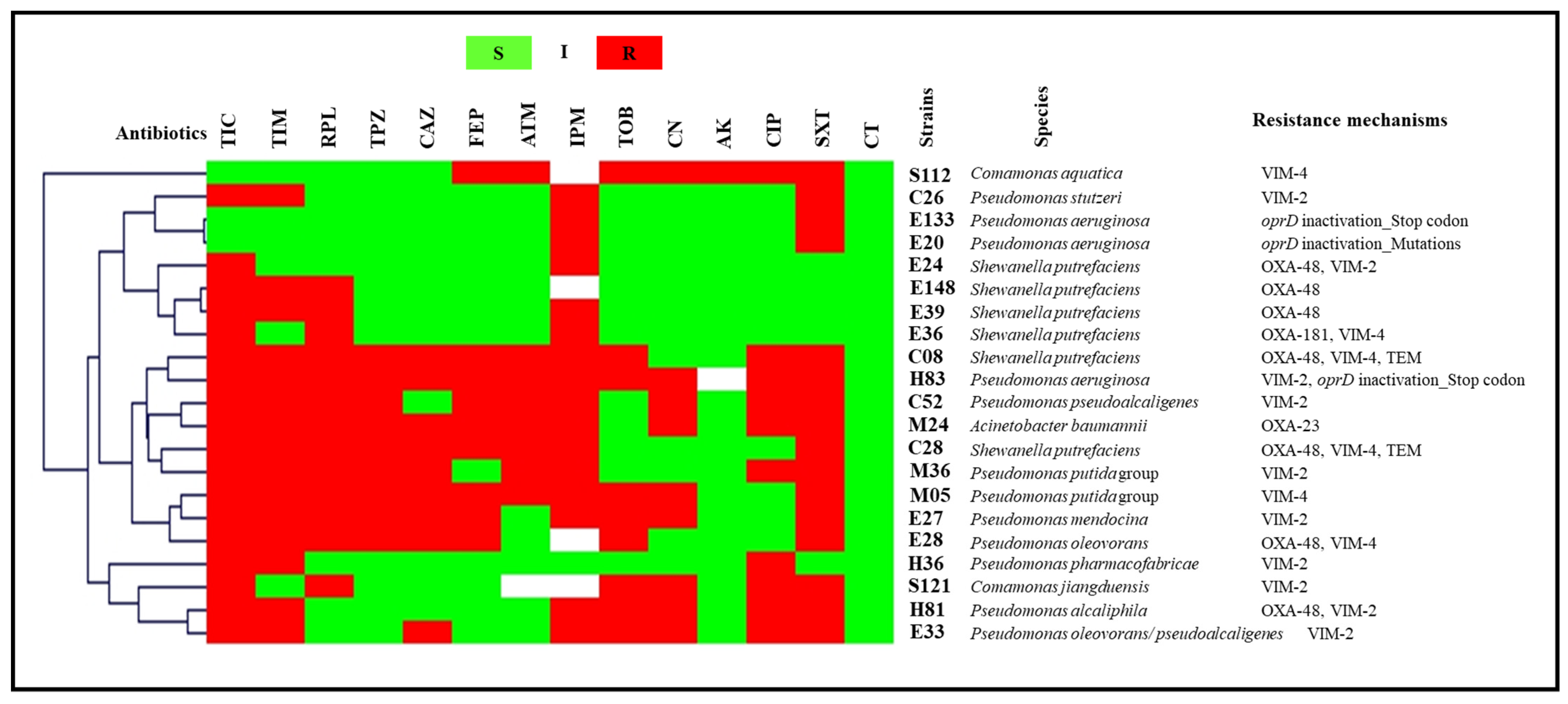 Antibiotics 11 01314 g003