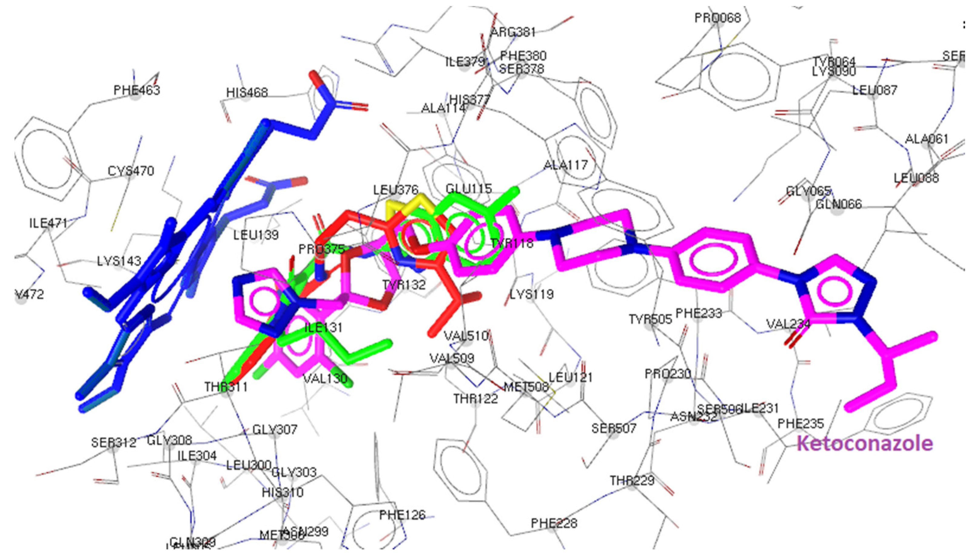 Antibiotics 11 01337 g007