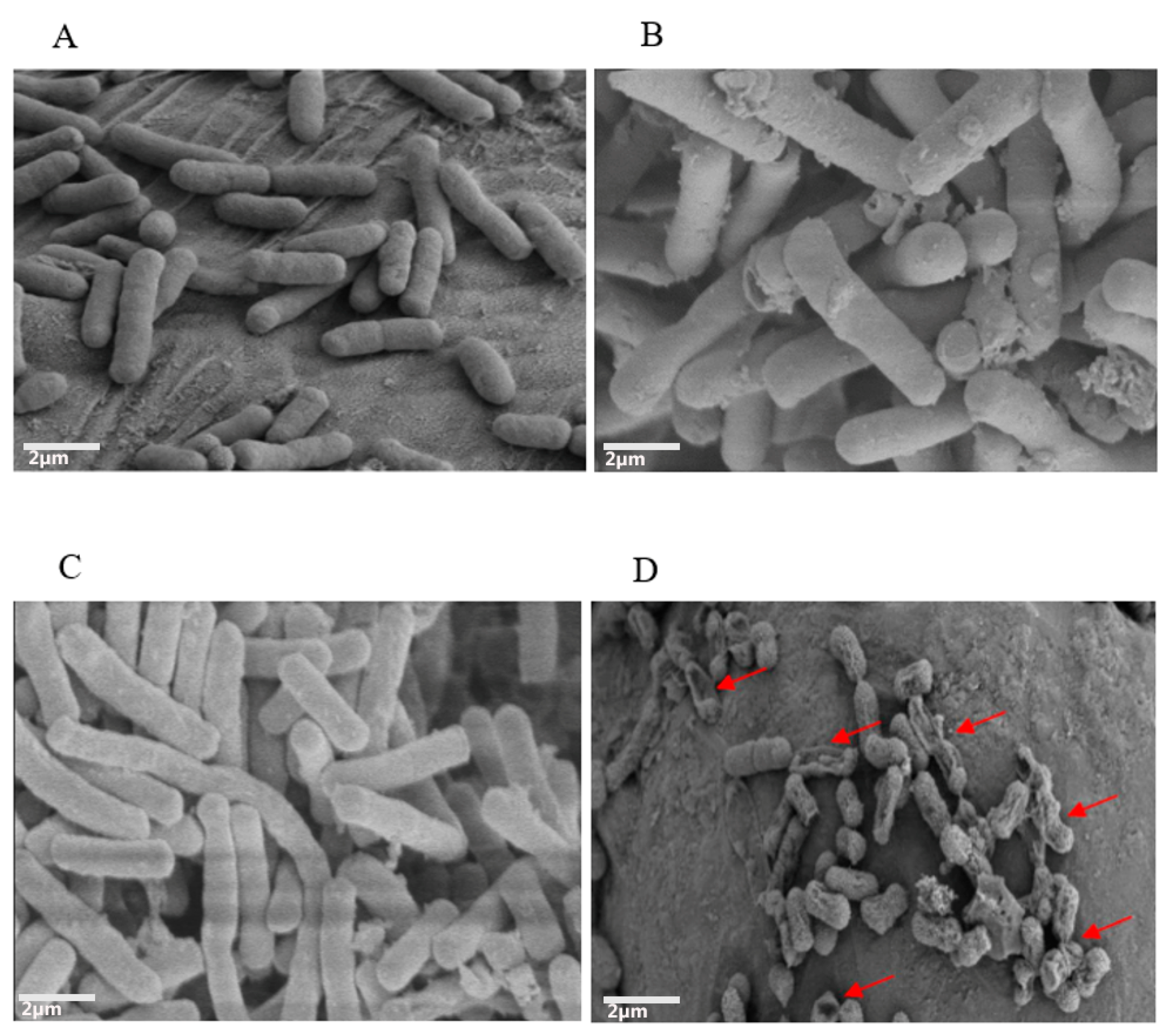 Antibiotics 11 01346 g003 Antibiotics 11 01346 g003