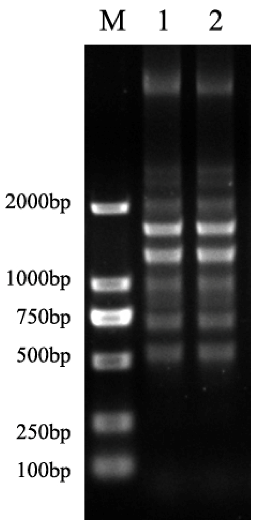 Antibiotics 11 01376 g001 Antibiotics 11 01376 g001
