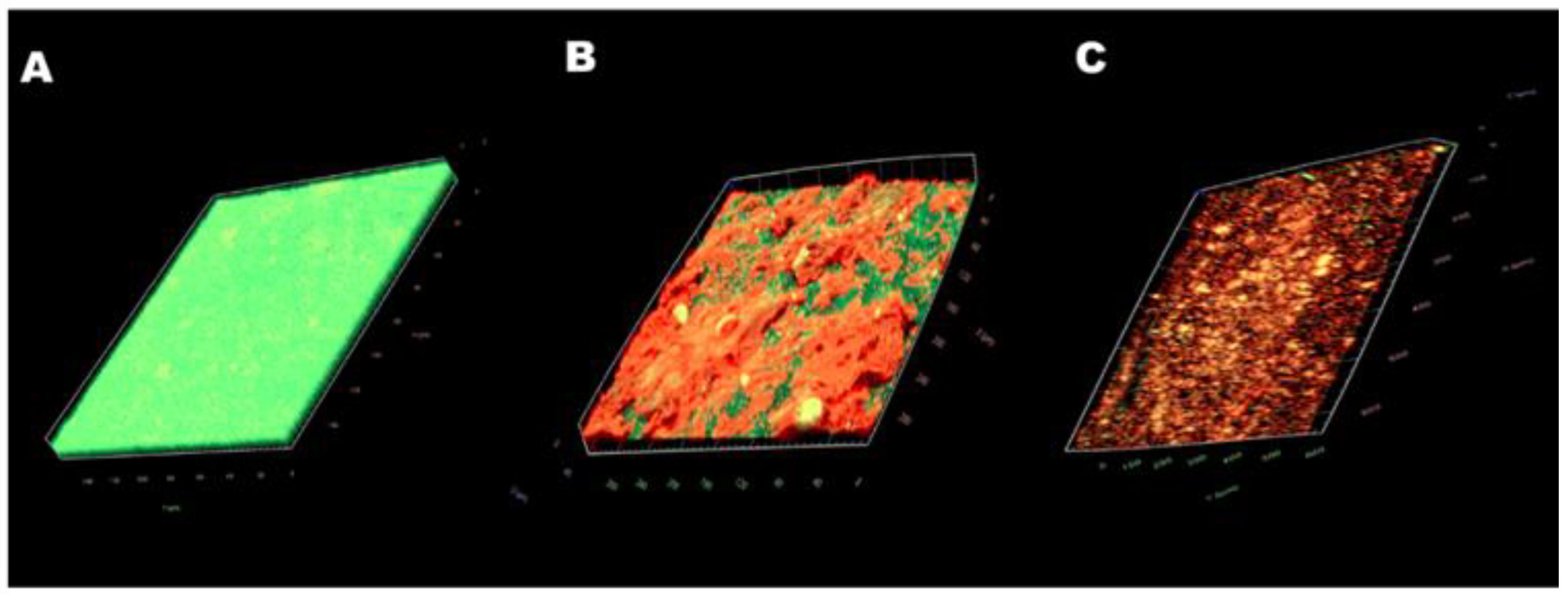 Antibiotics 11 01403 g006 Antibiotics 11 01403 g006