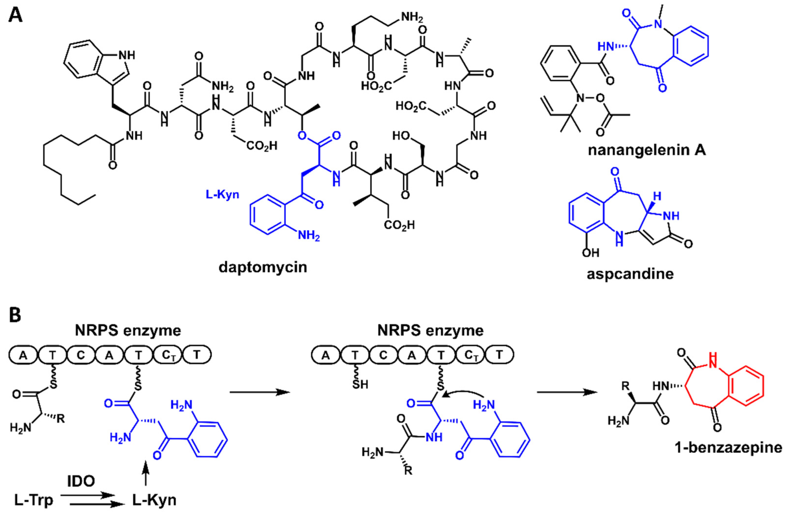 Antibiotics 11 01444 g001