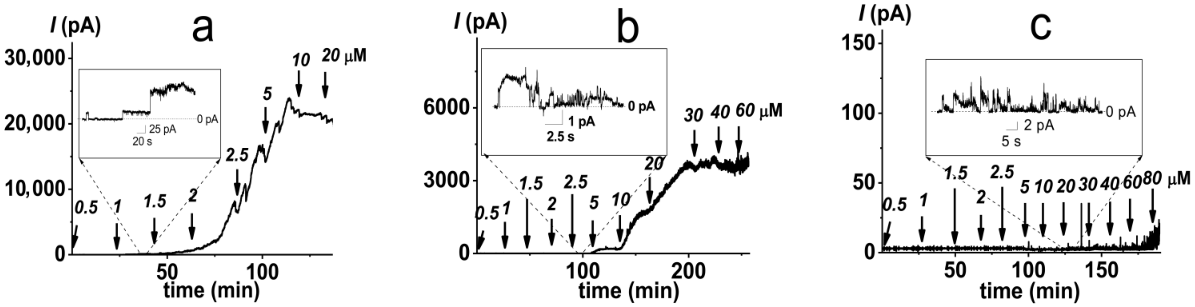 Antibiotics 11 01445 g004