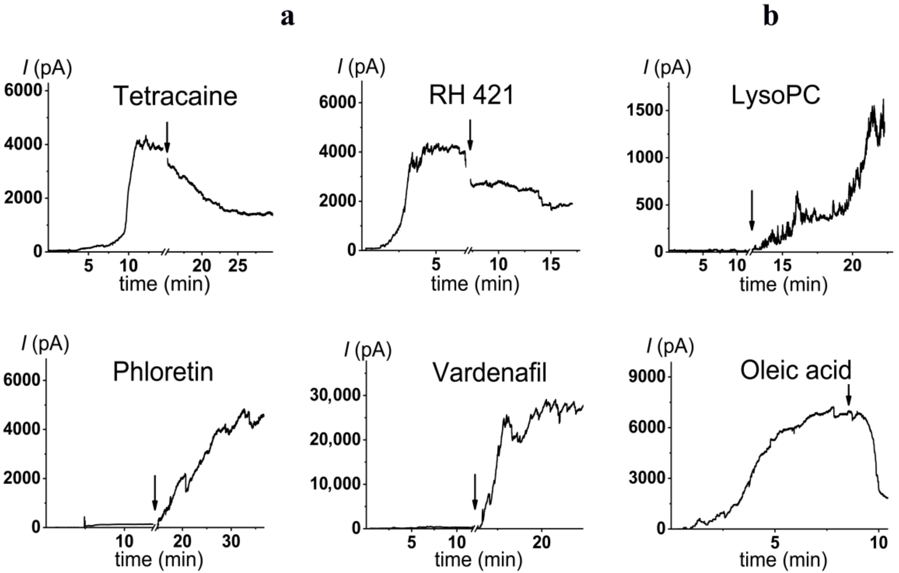 Antibiotics 11 01445 g005