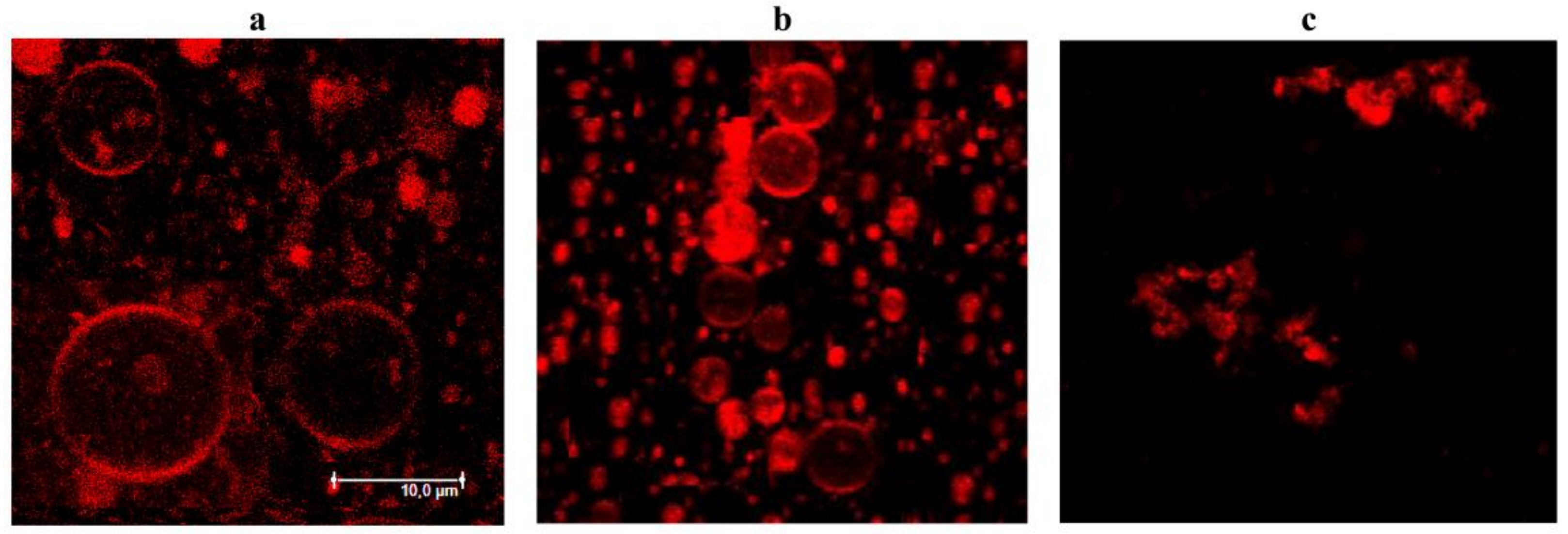 Antibiotics 11 01445 g007