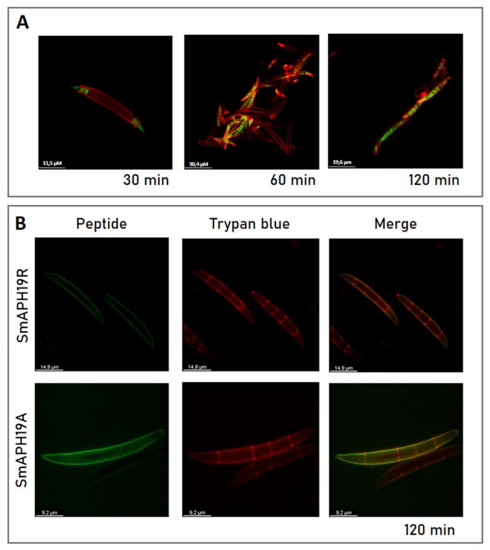 Antibiotics 11 01501 g009