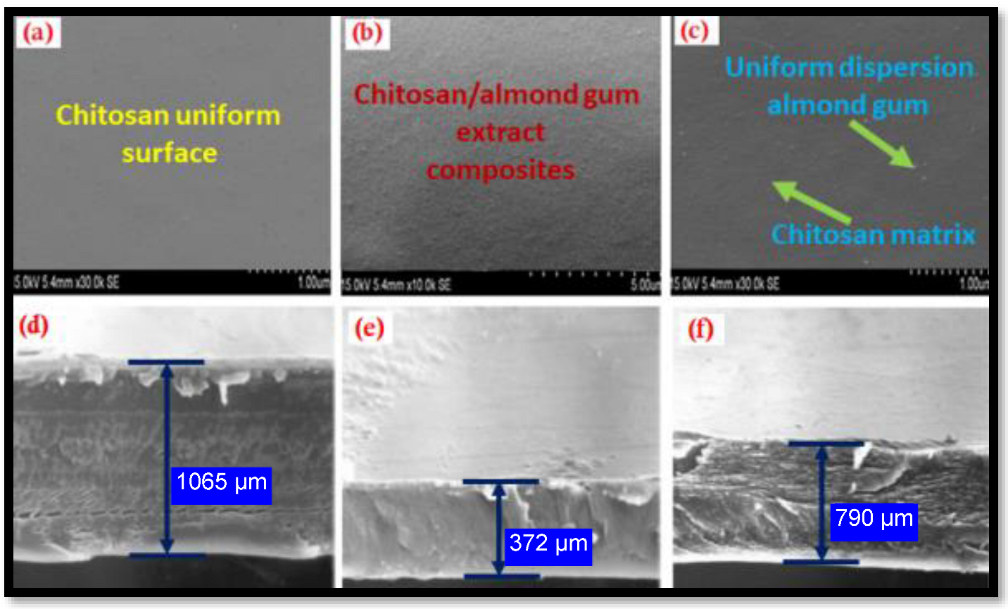 Antibiotics 11 01502 g002
