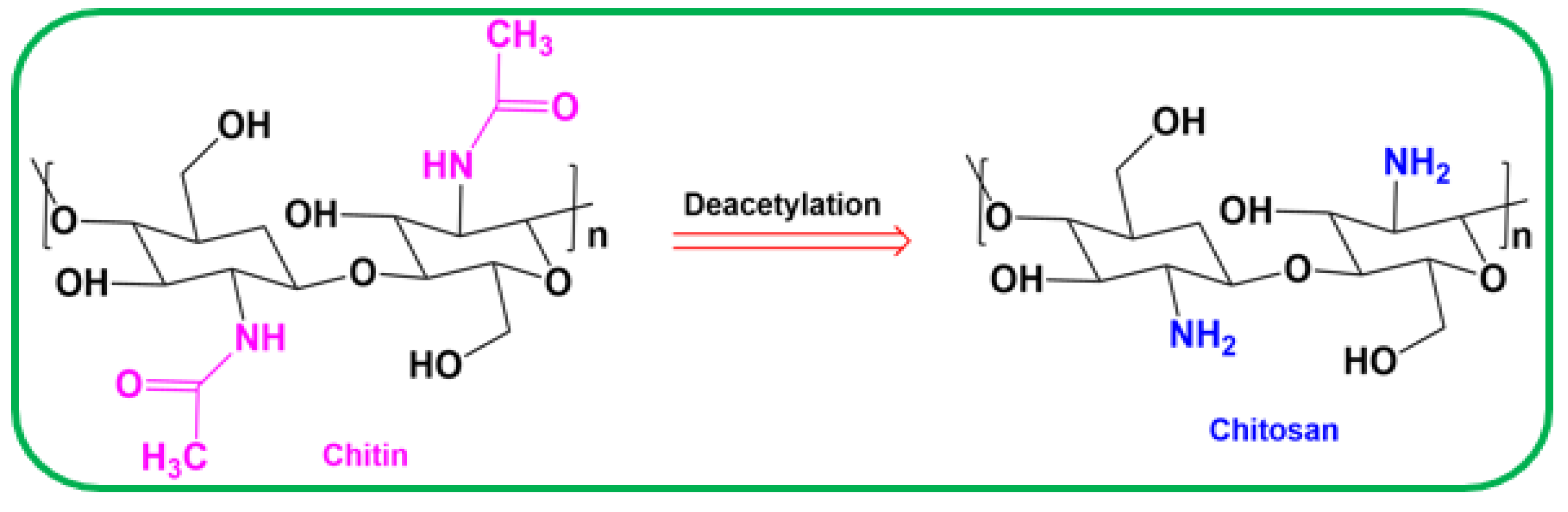 Antibiotics 11 01502 g010