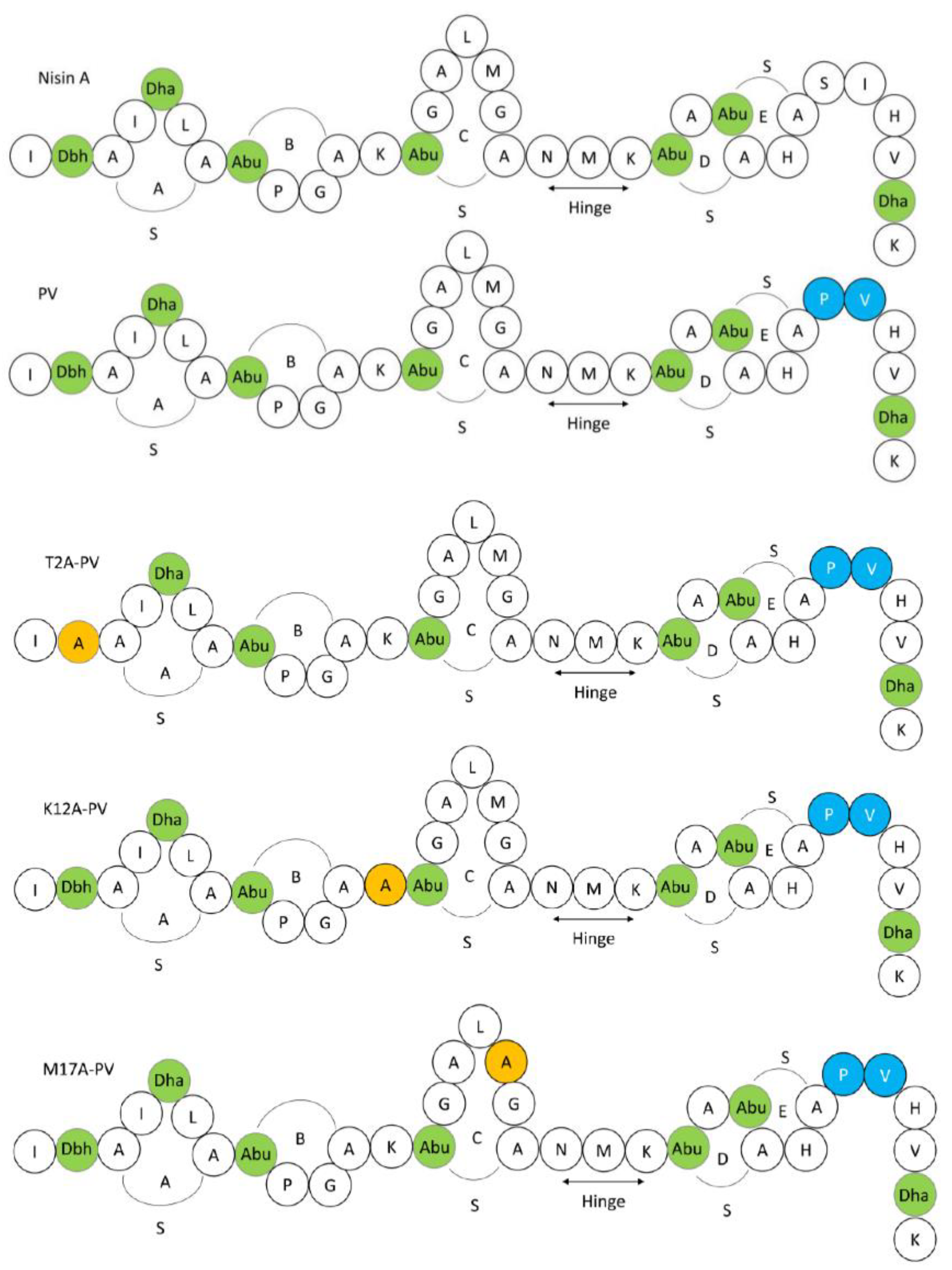 Antibiotics 11 01516 g001 Antibiotics 11 01516 g001
