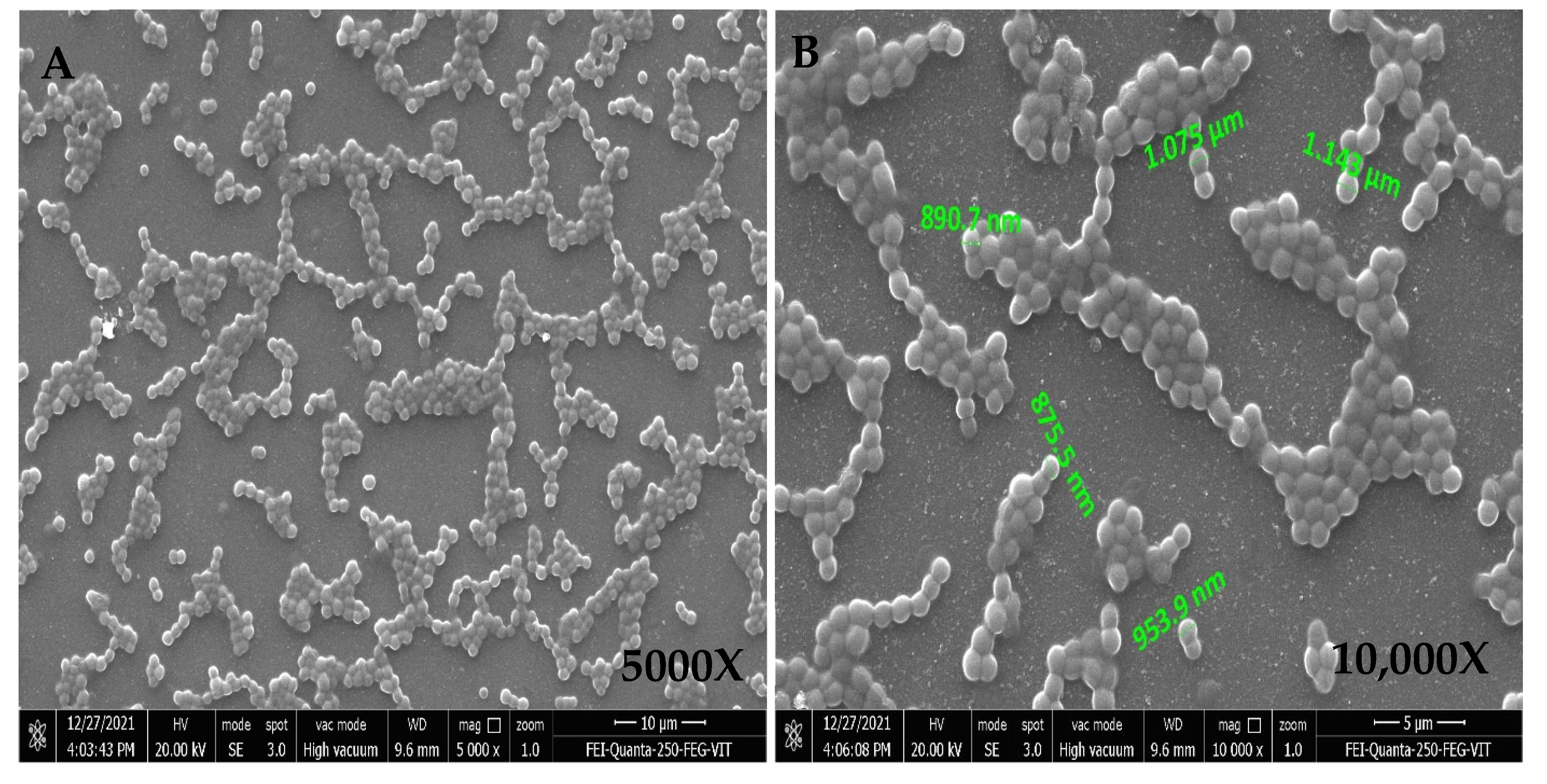 Antibiotics 11 01546 g002 Antibiotics 11 01546 g002