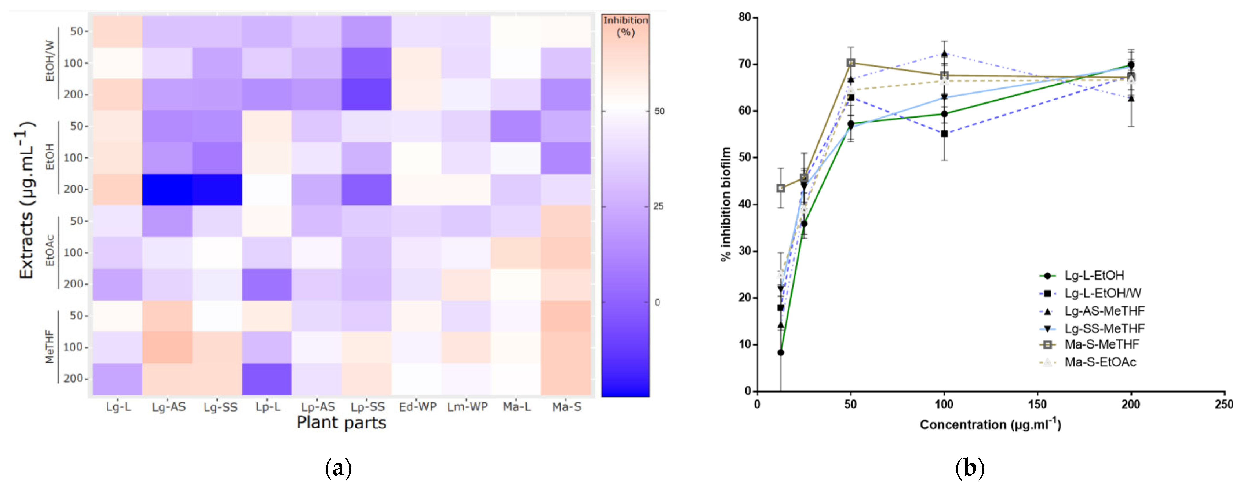 Antibiotics 11 01595 g001