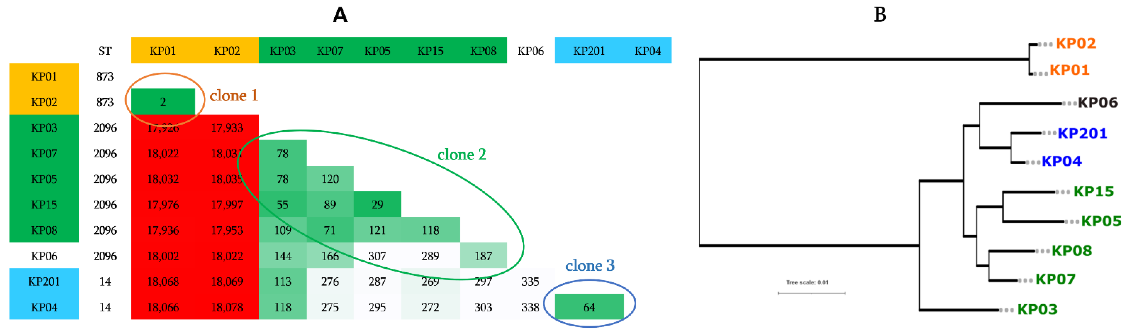 Antibiotics 11 01597 g003
