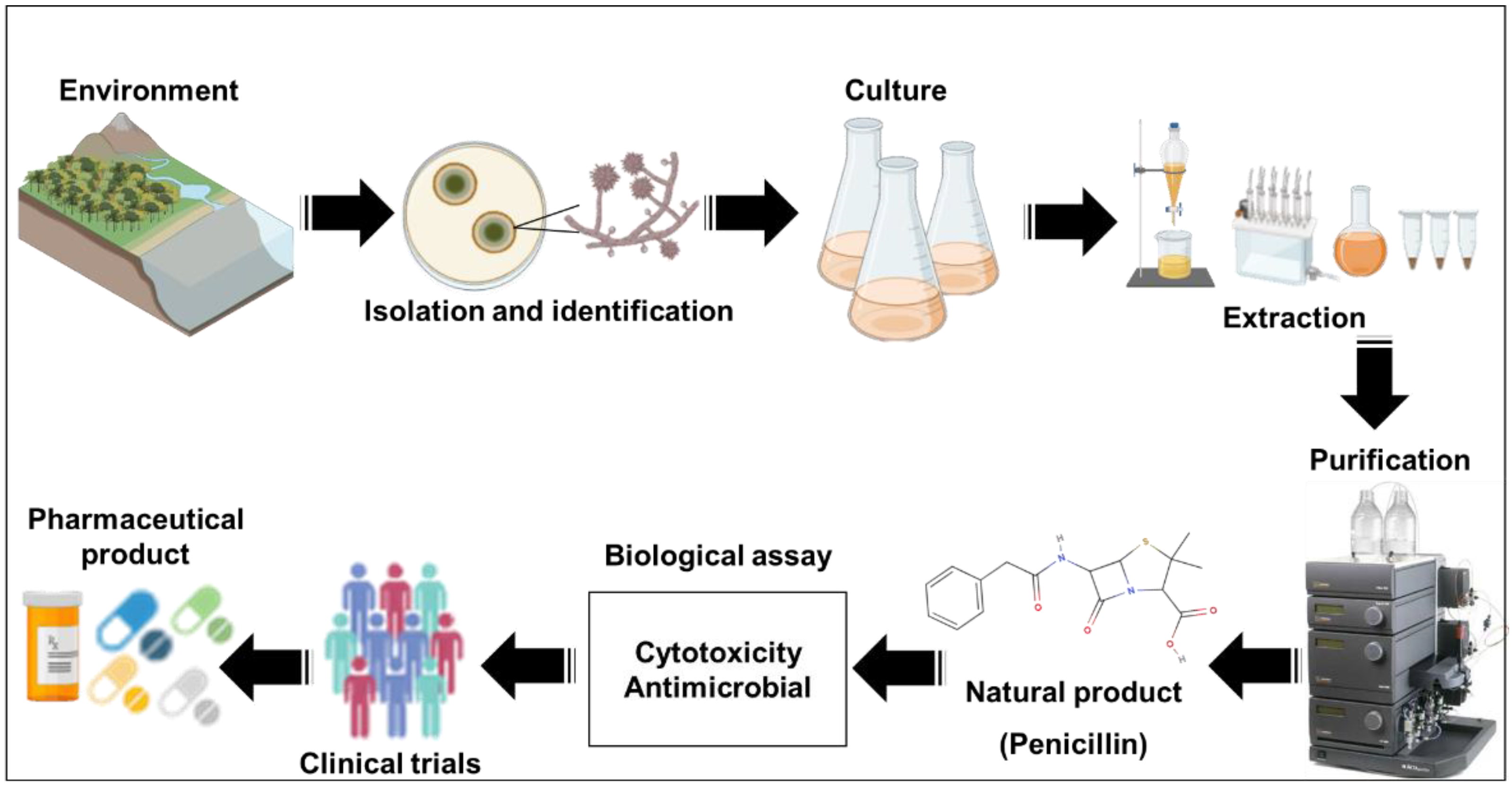 Antibiotics 11 01604 g002 Antibiotics 11 01604 g002