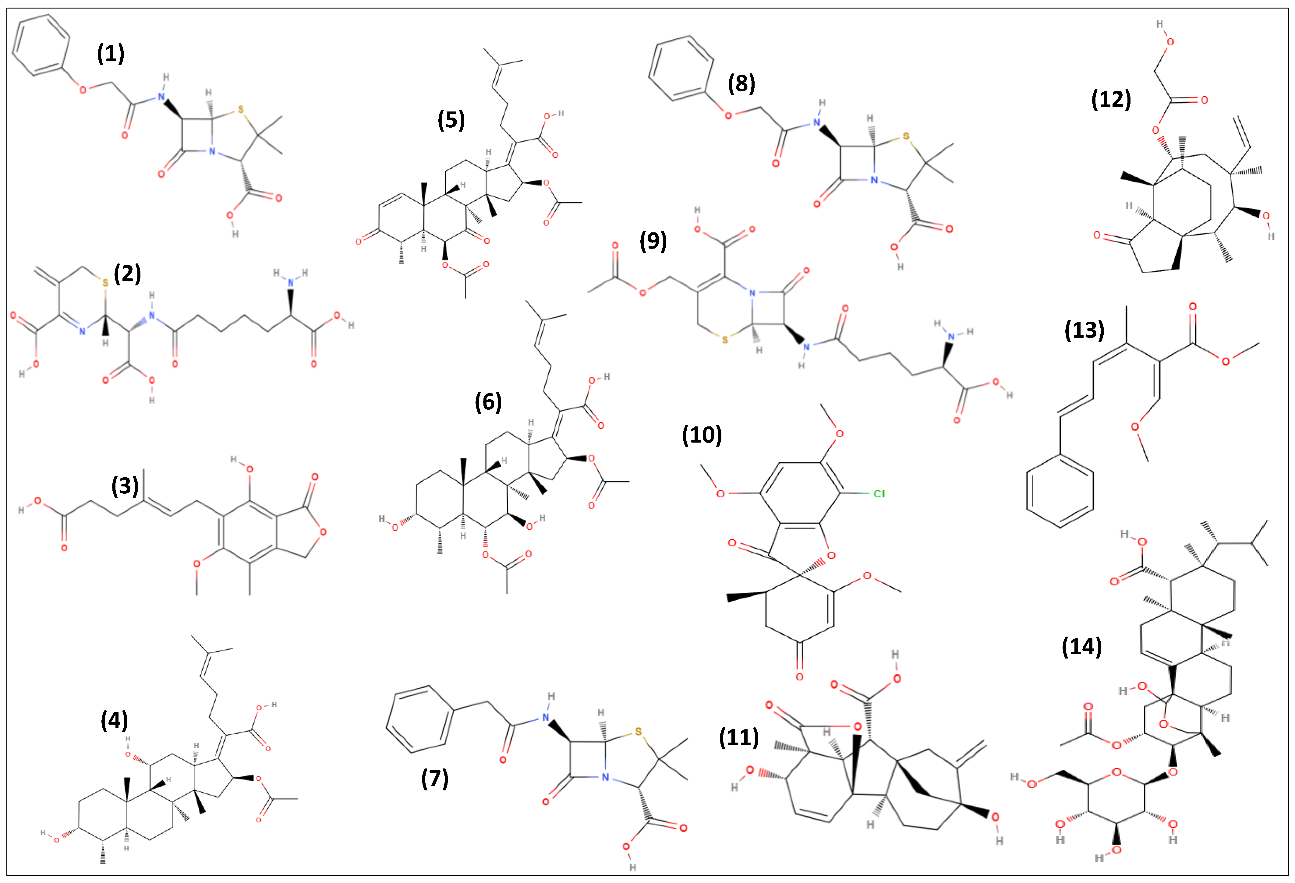 Antibiotics 11 01604 g004 Antibiotics 11 01604 g004