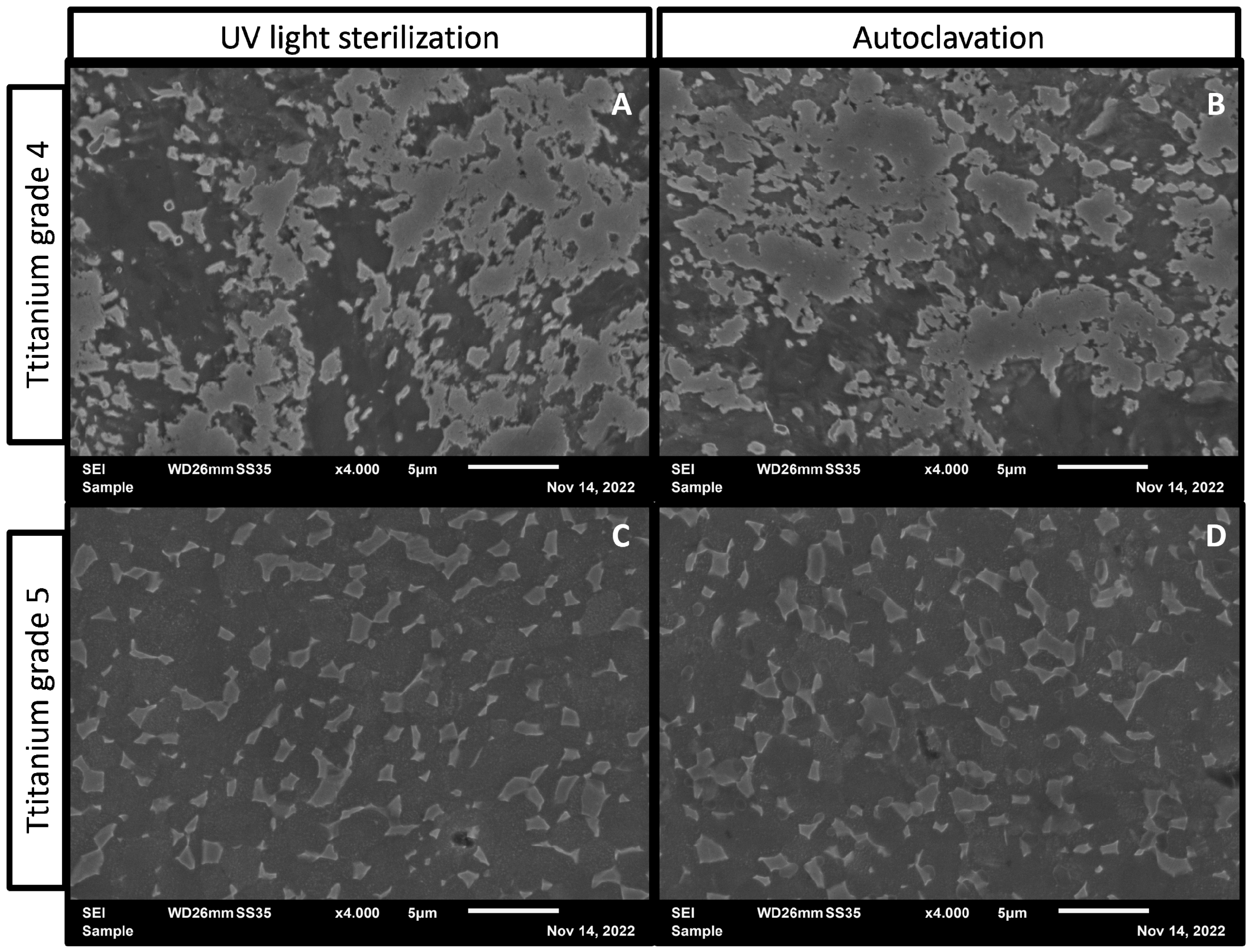 Antibiotics 11 01647 g003 Antibiotics 11 01647 g003