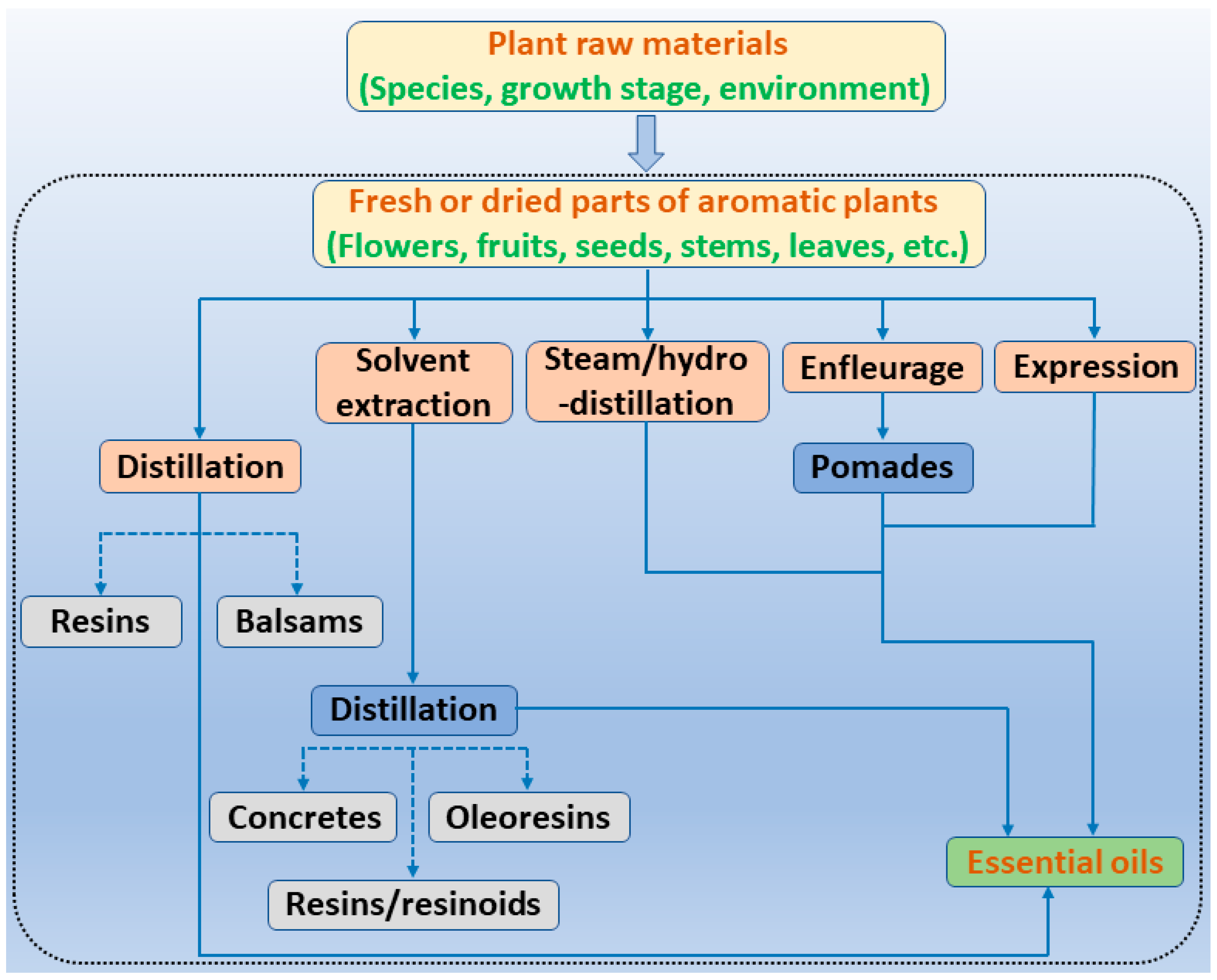 Antibiotics | Free Full-Text | Potential of Aromatic Plant-Derived  Essential Oils for the Control of Foodborne Bacteria and Antibiotic  Resistance in Animal Production: A Review