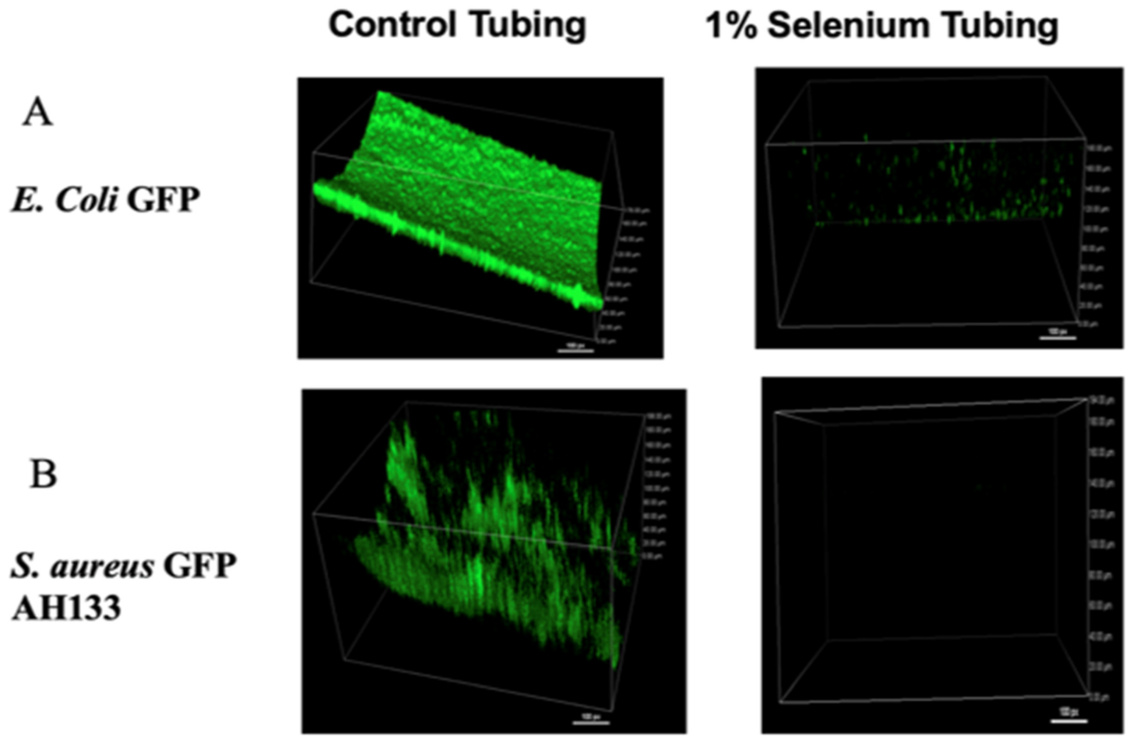 Antibiotics 11 01683 g001 Antibiotics 11 01683 g001