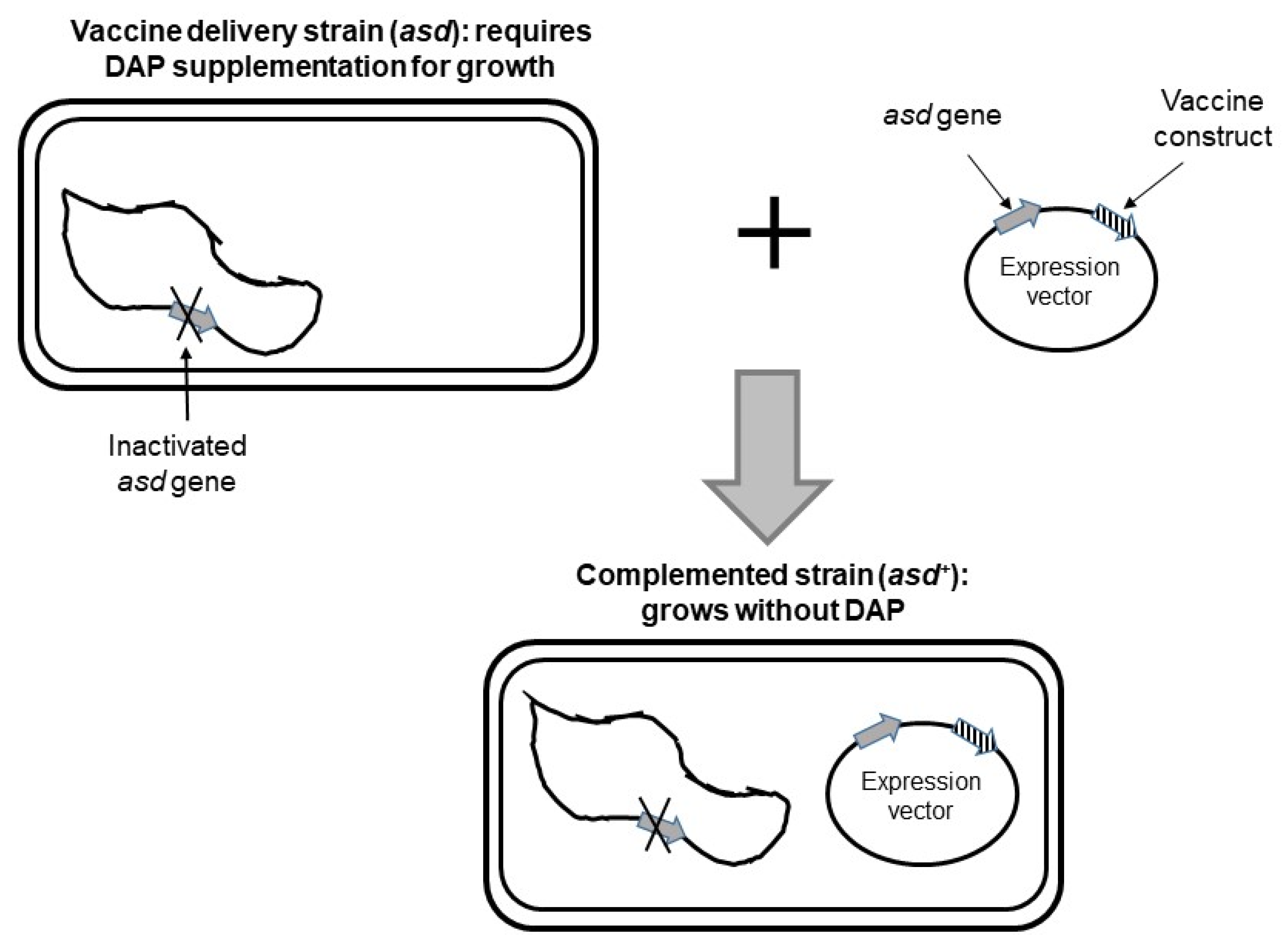 Antibiotics 11 01701 g002
