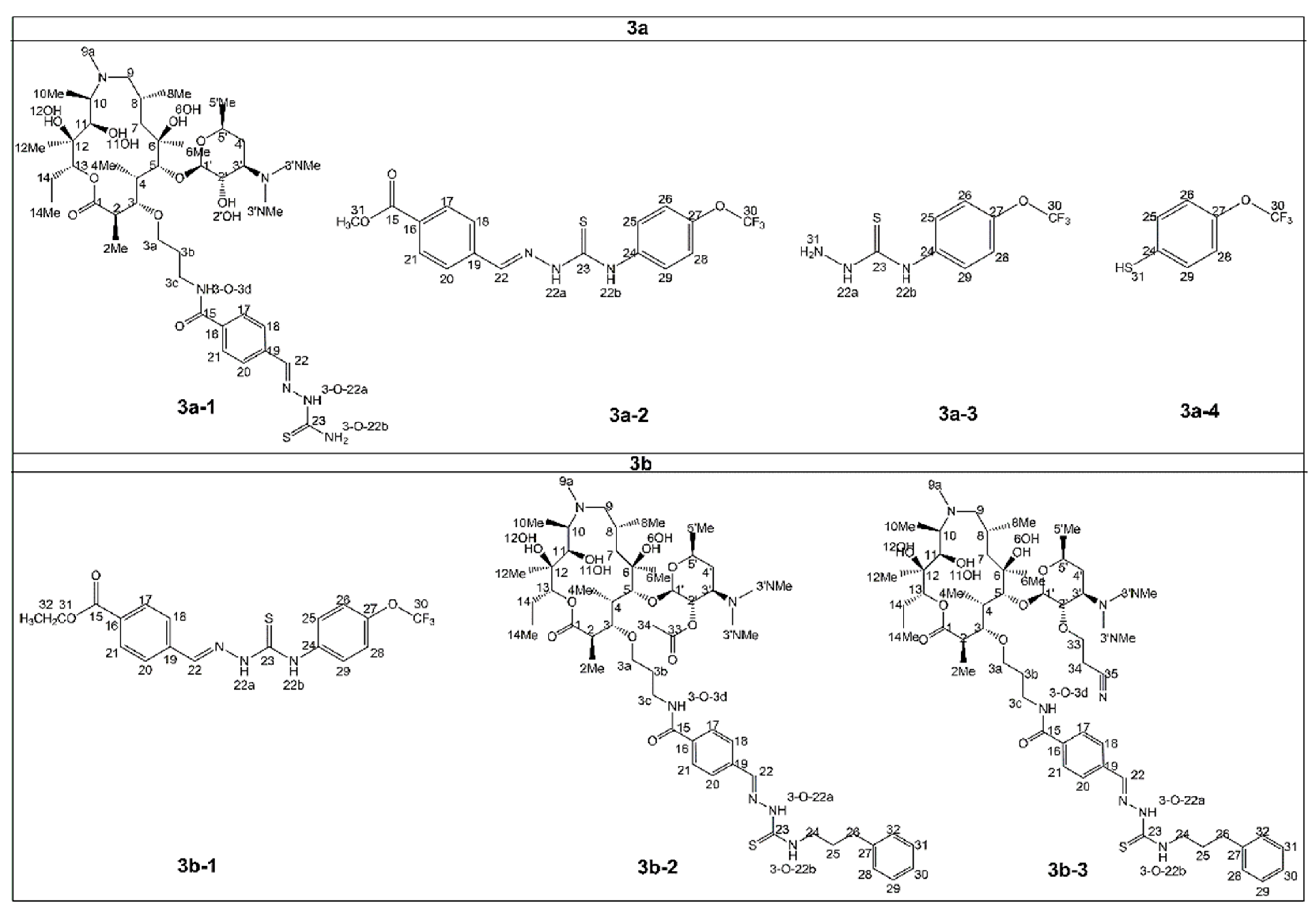 Antibiotics 11 01738 g003 Antibiotics 11 01738 g003
