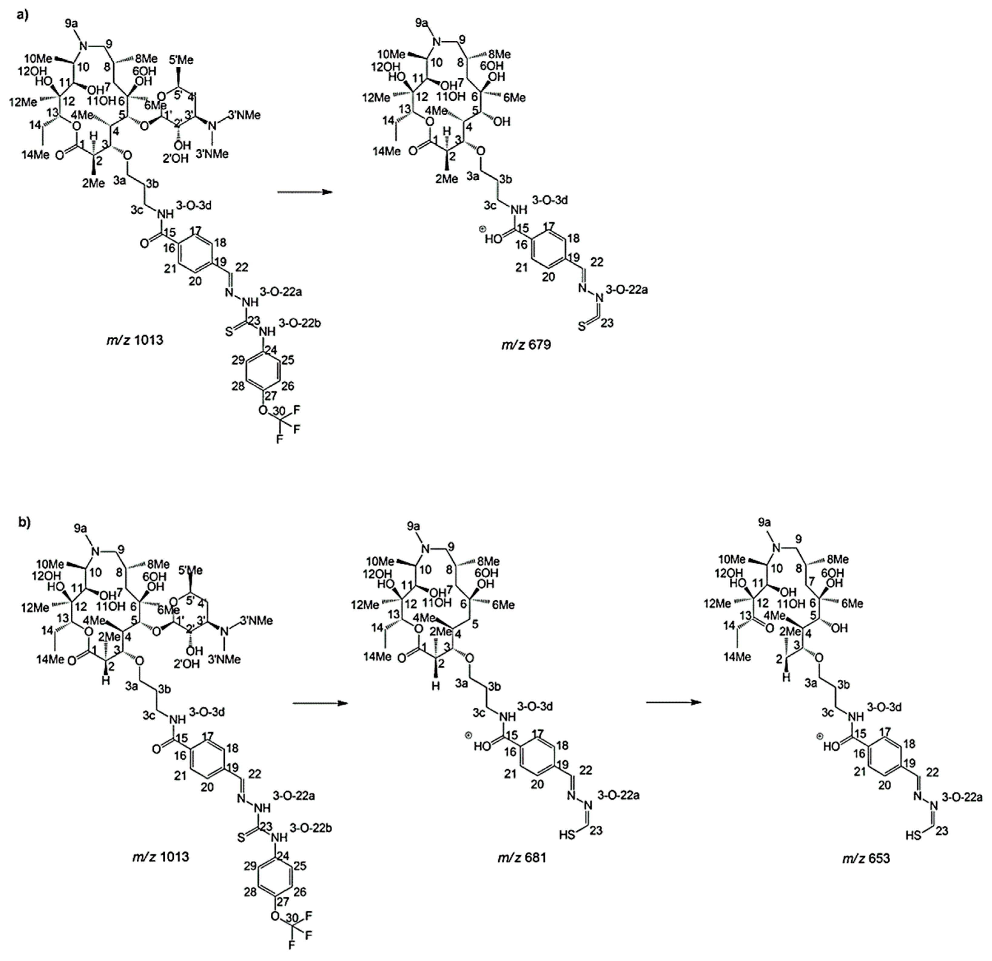 Antibiotics 11 01738 g004 Antibiotics 11 01738 g004