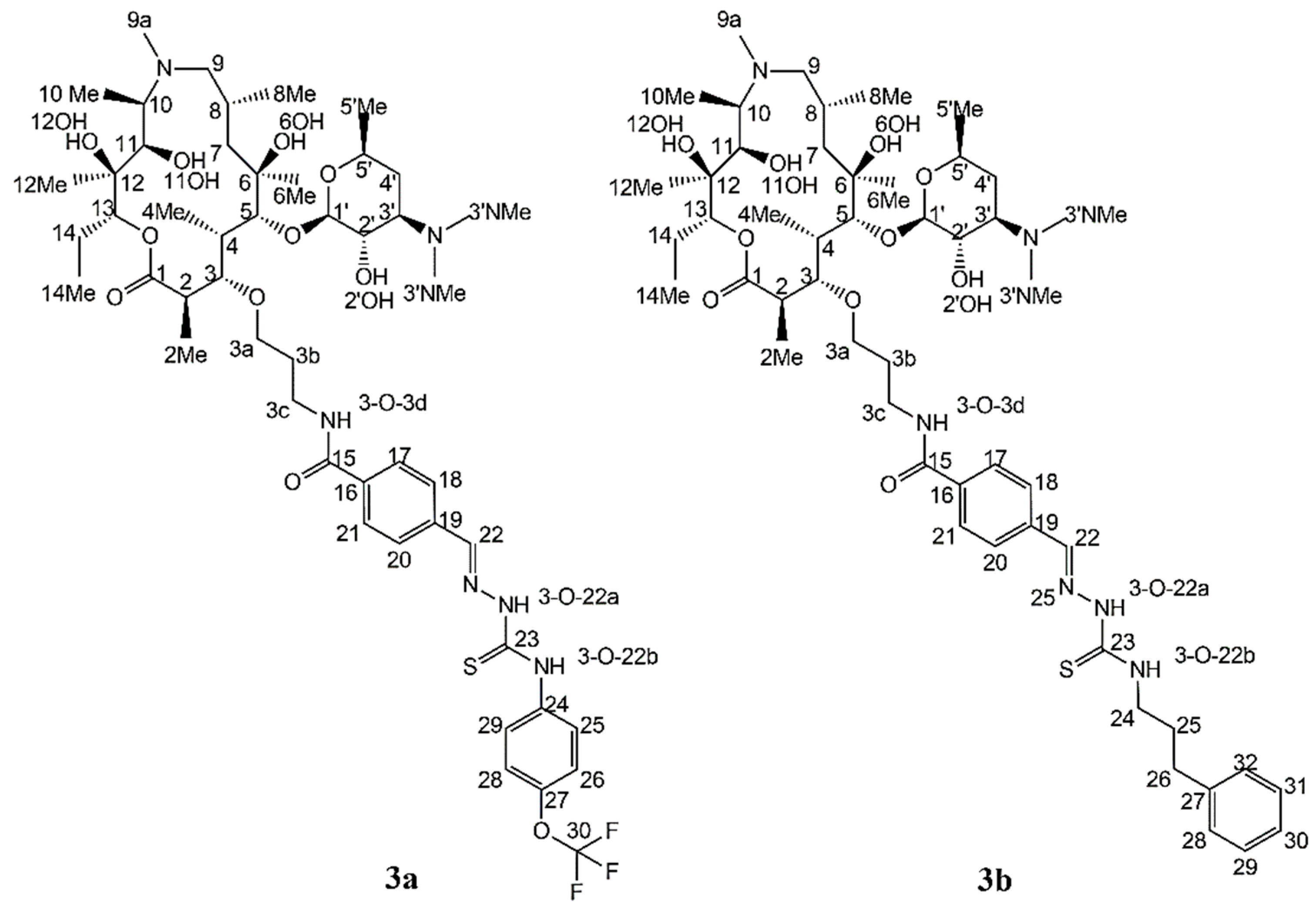 Antibiotics 11 01738 sch001 Antibiotics 11 01738 sch001