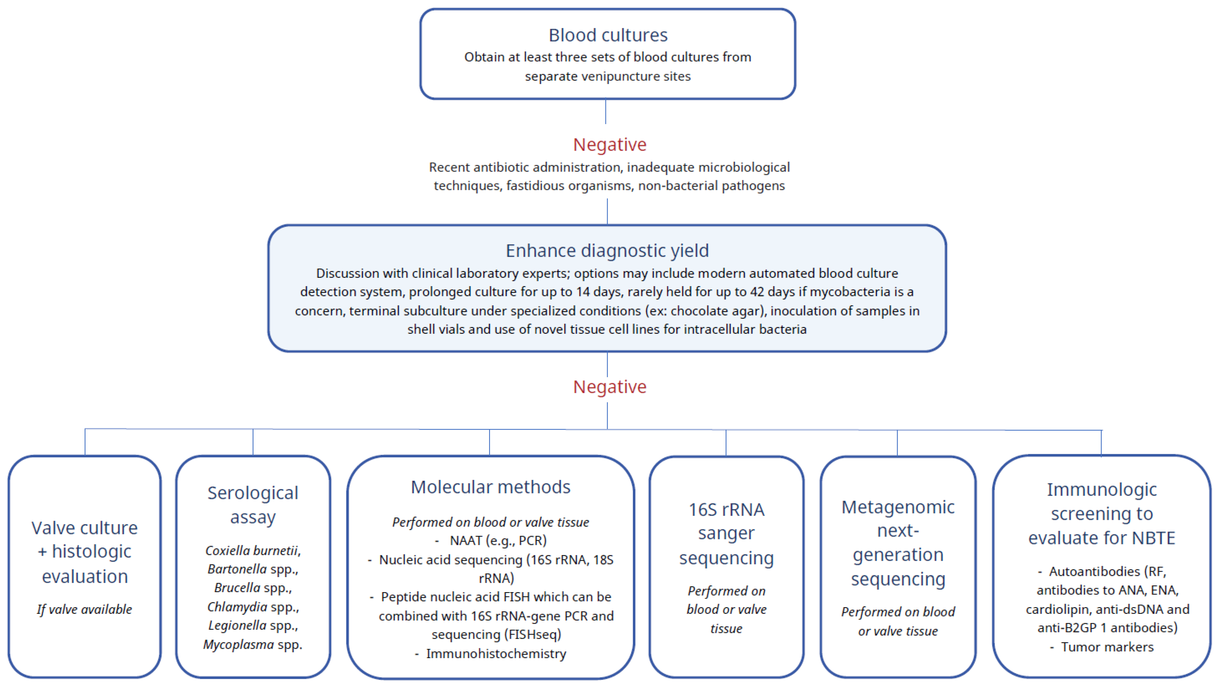 Antibiotics 11 01798 g002 Antibiotics 11 01798 g002
