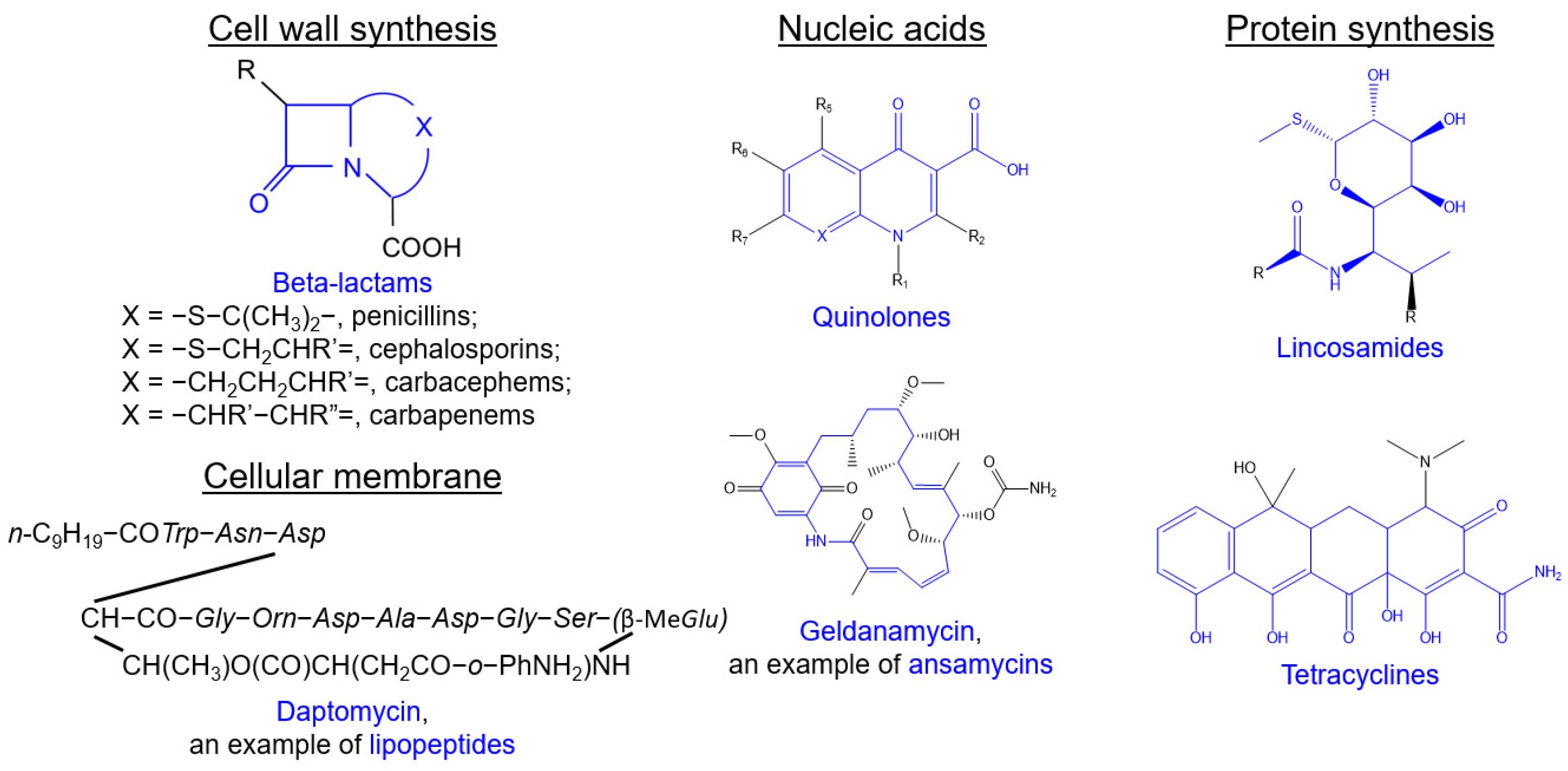 Antibiotics 11 01812 g003