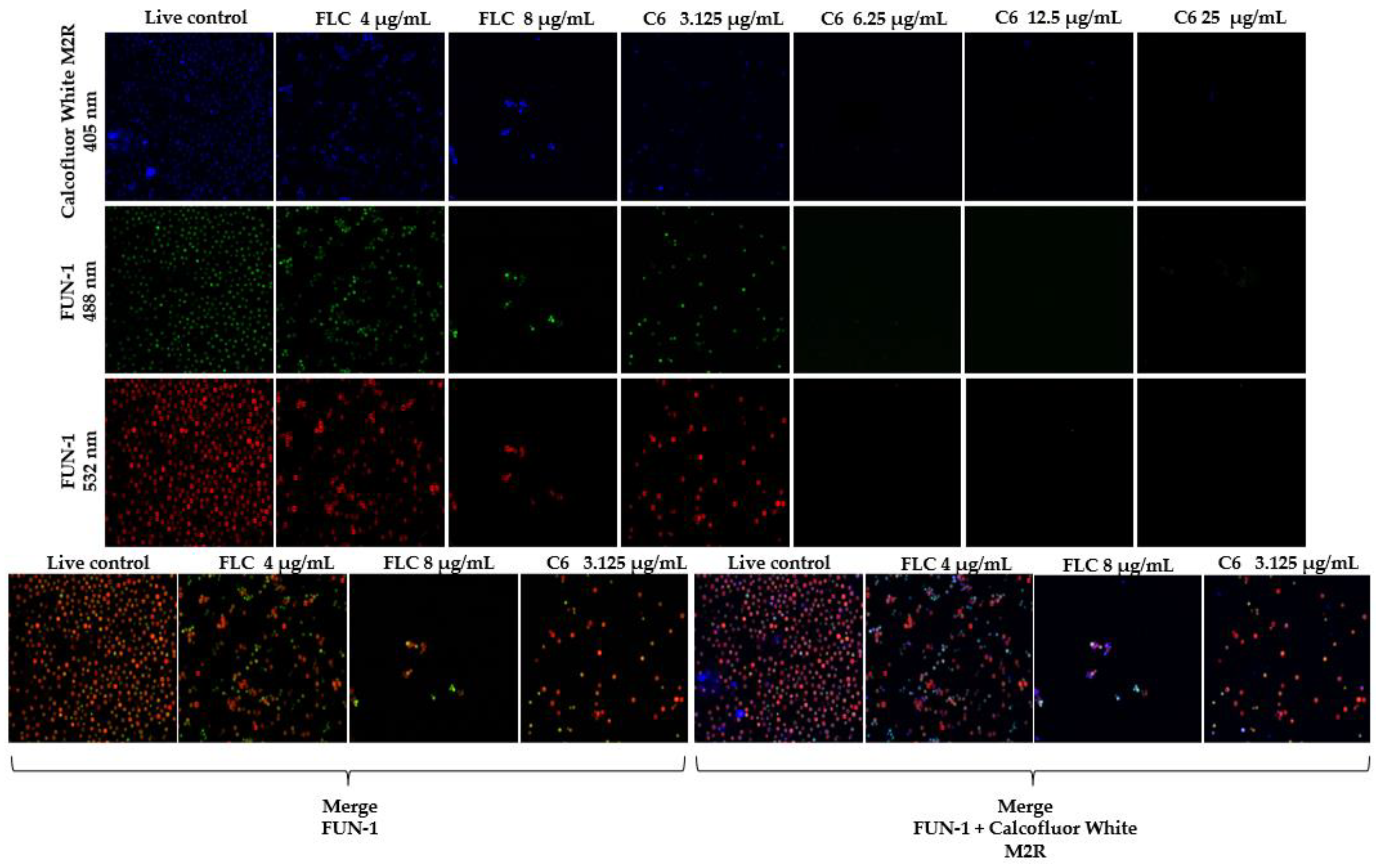 Antibiotics 11 01819 g002