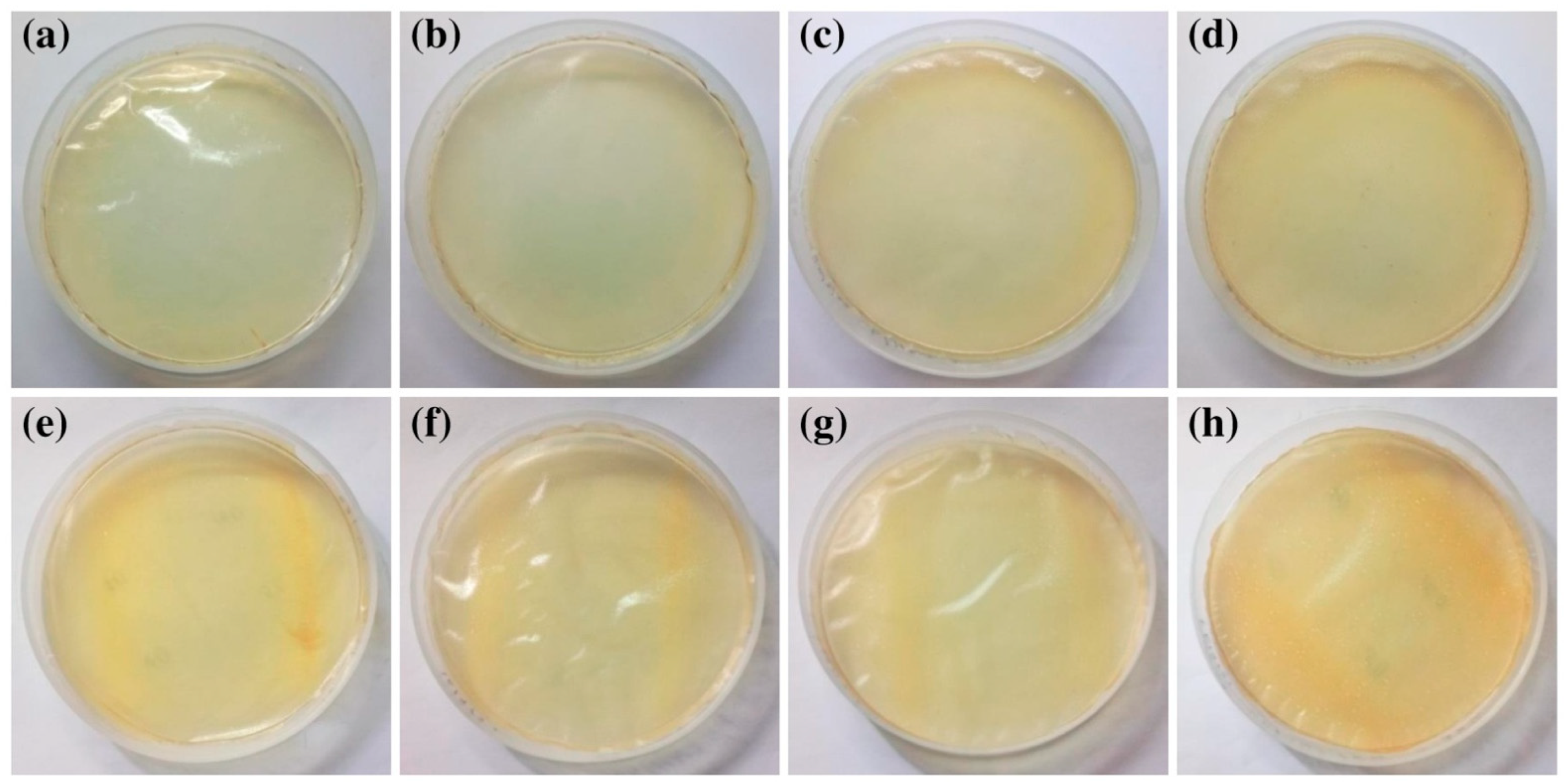 Antibiotics Free Full Text Fabrication and Evaluation of Basil