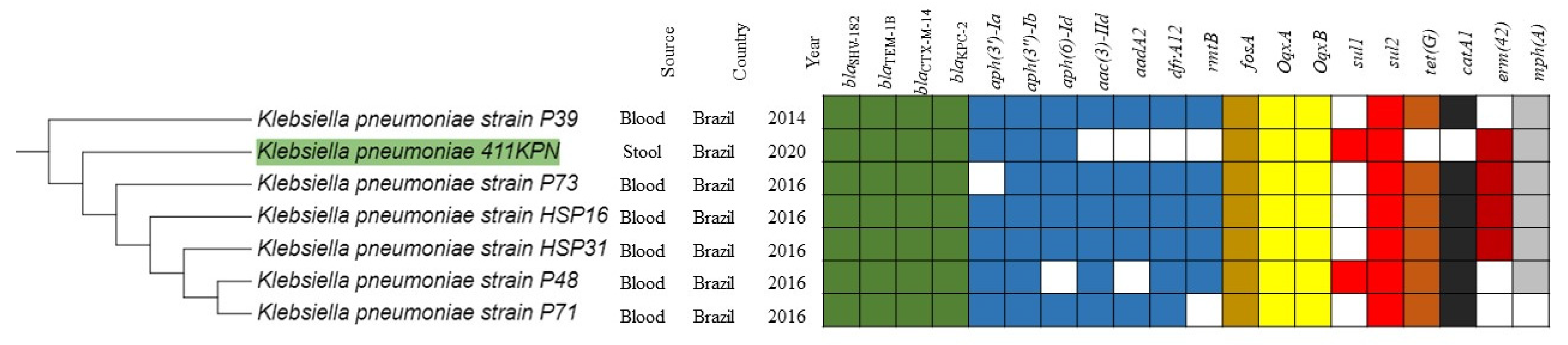 Antibiotics 11 01835 g002 Antibiotics 11 01835 g002