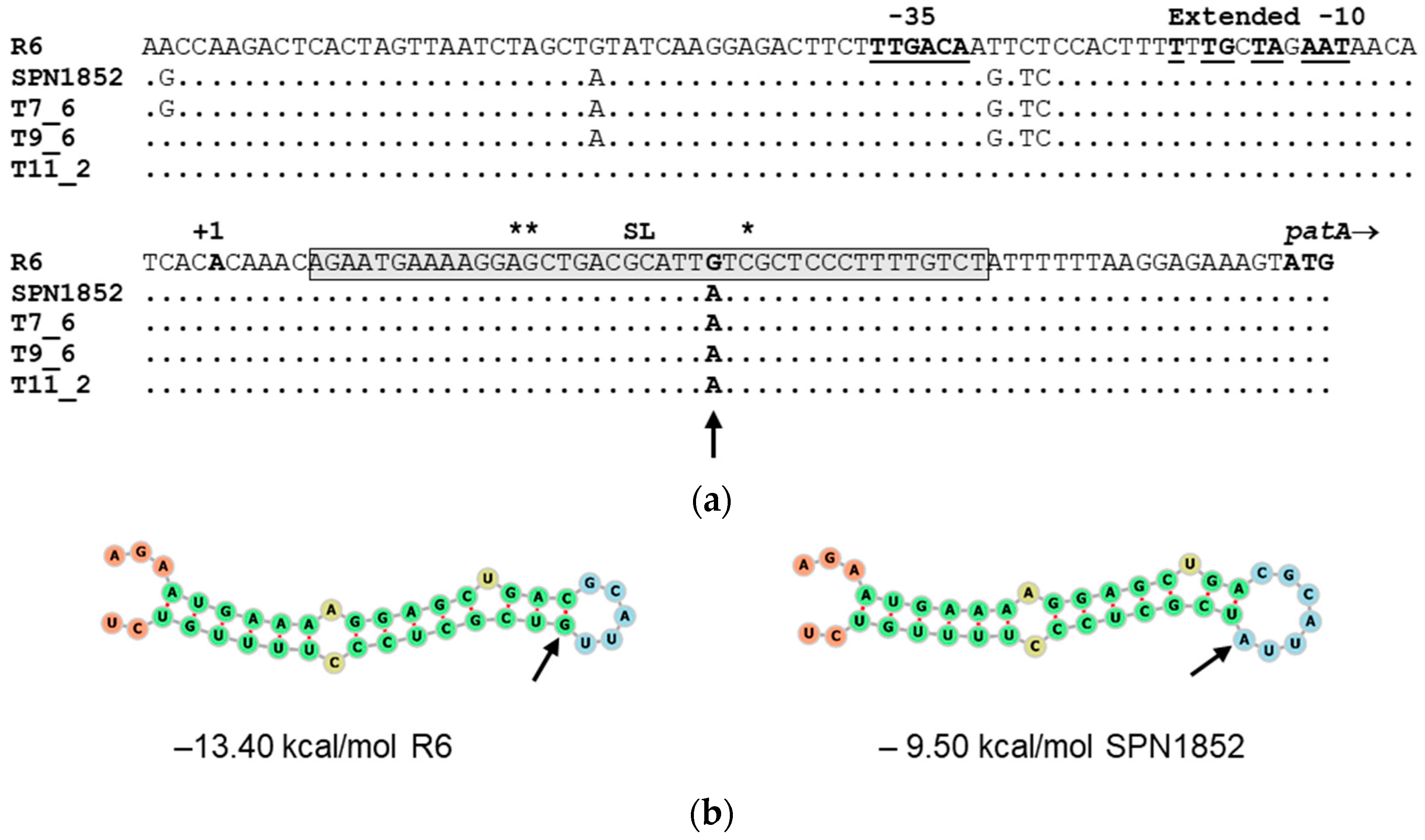 Antibiotics 11 01837 g006