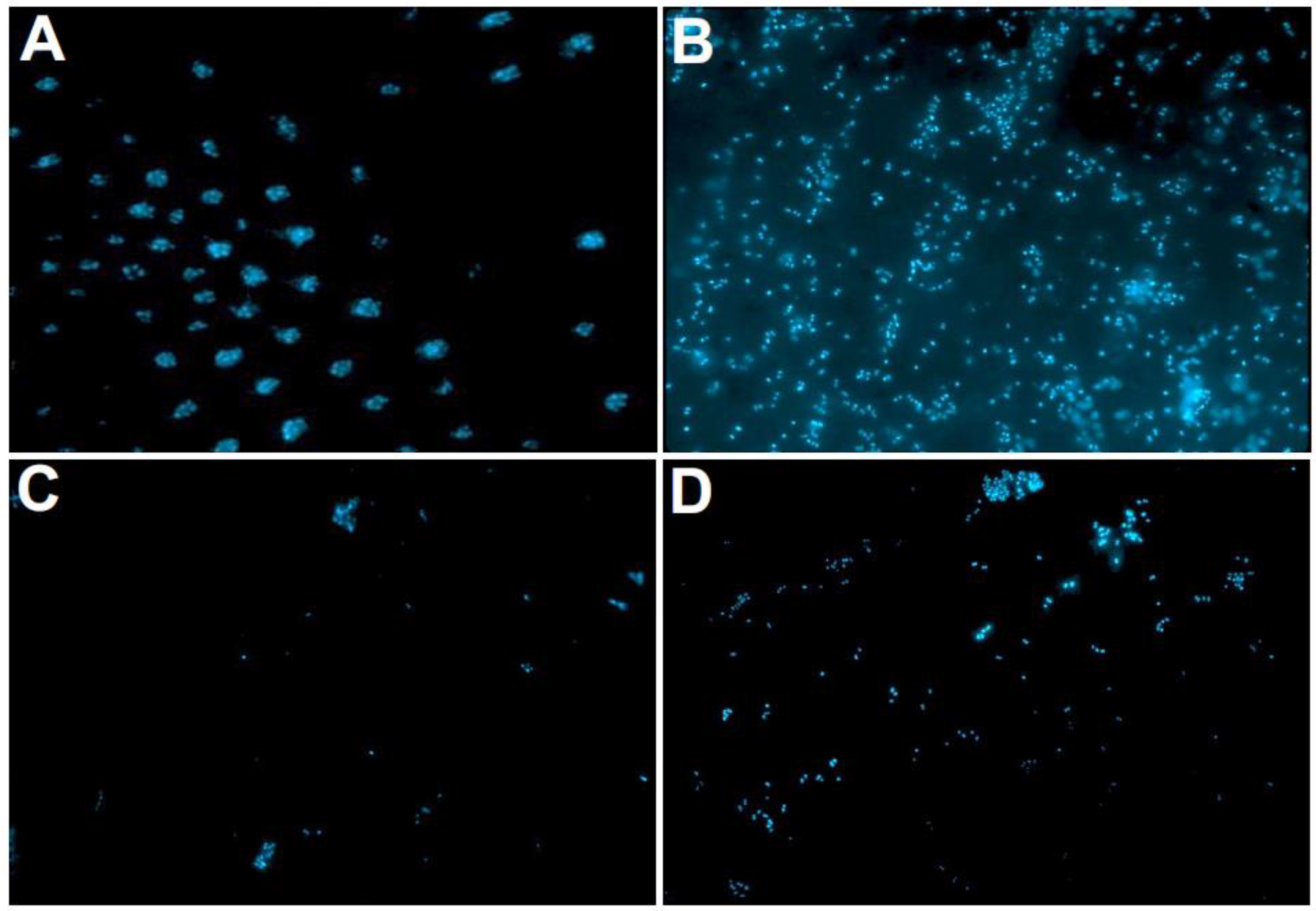 Antibiotics 12 00004 g003