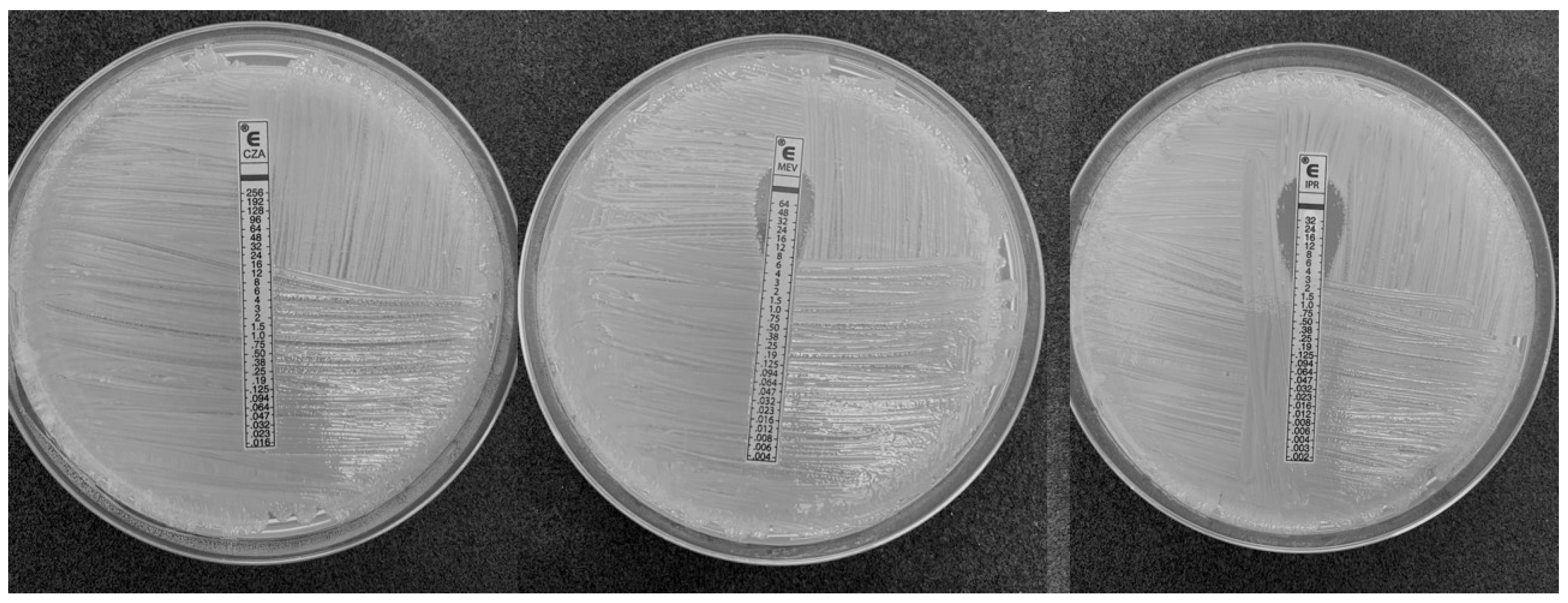 Antibiotics 12 00010 g001 Antibiotics 12 00010 g001